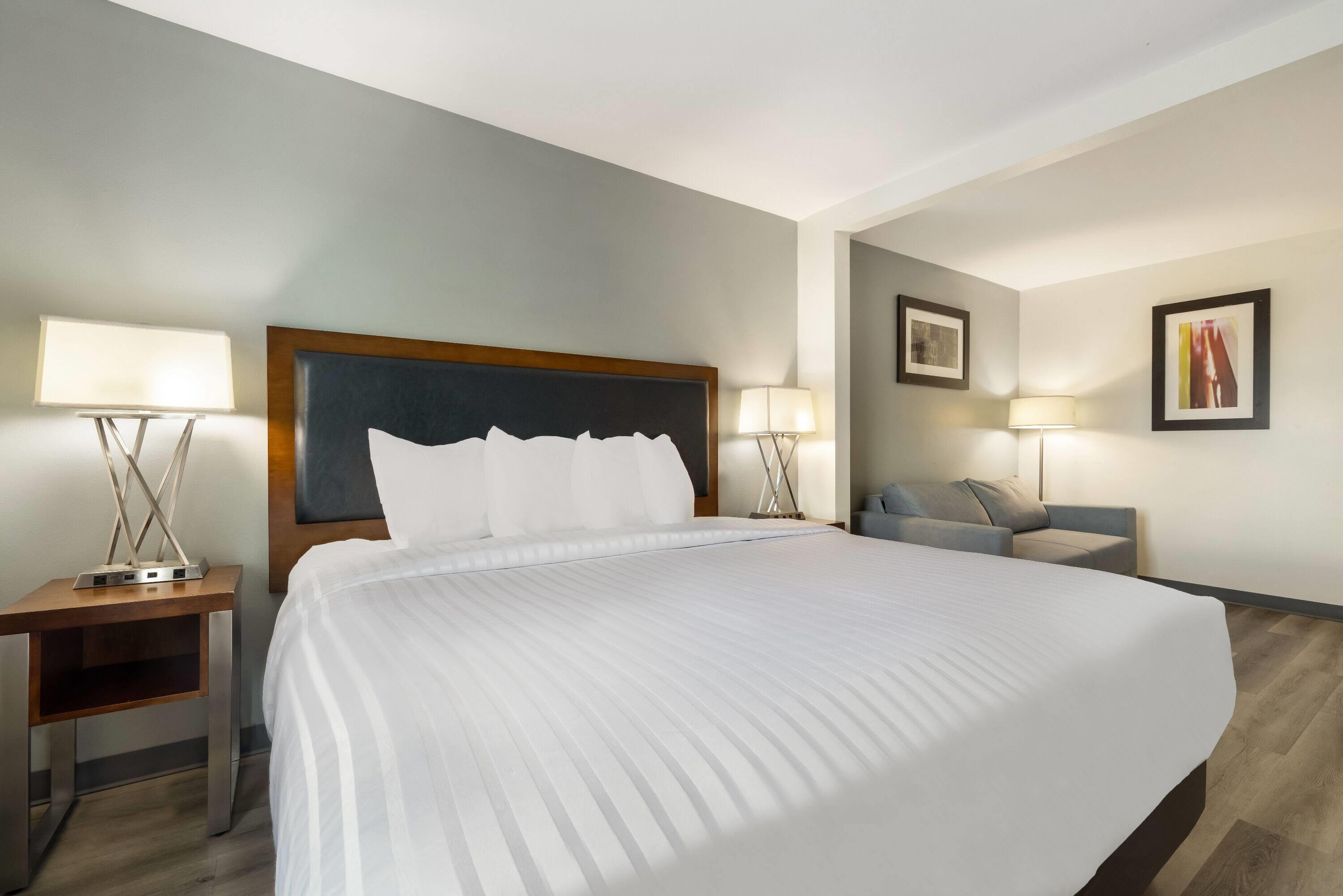 Room King Size Bed