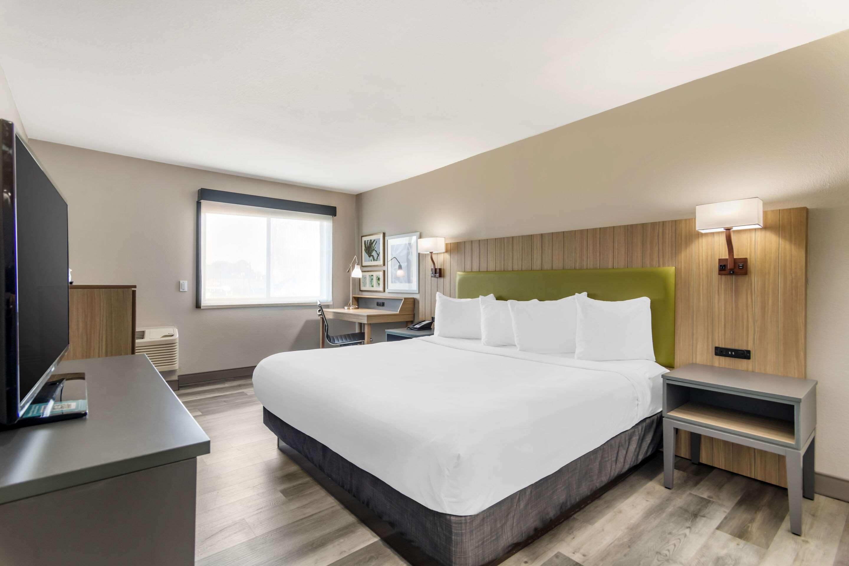 Room Accessible King Size Bed