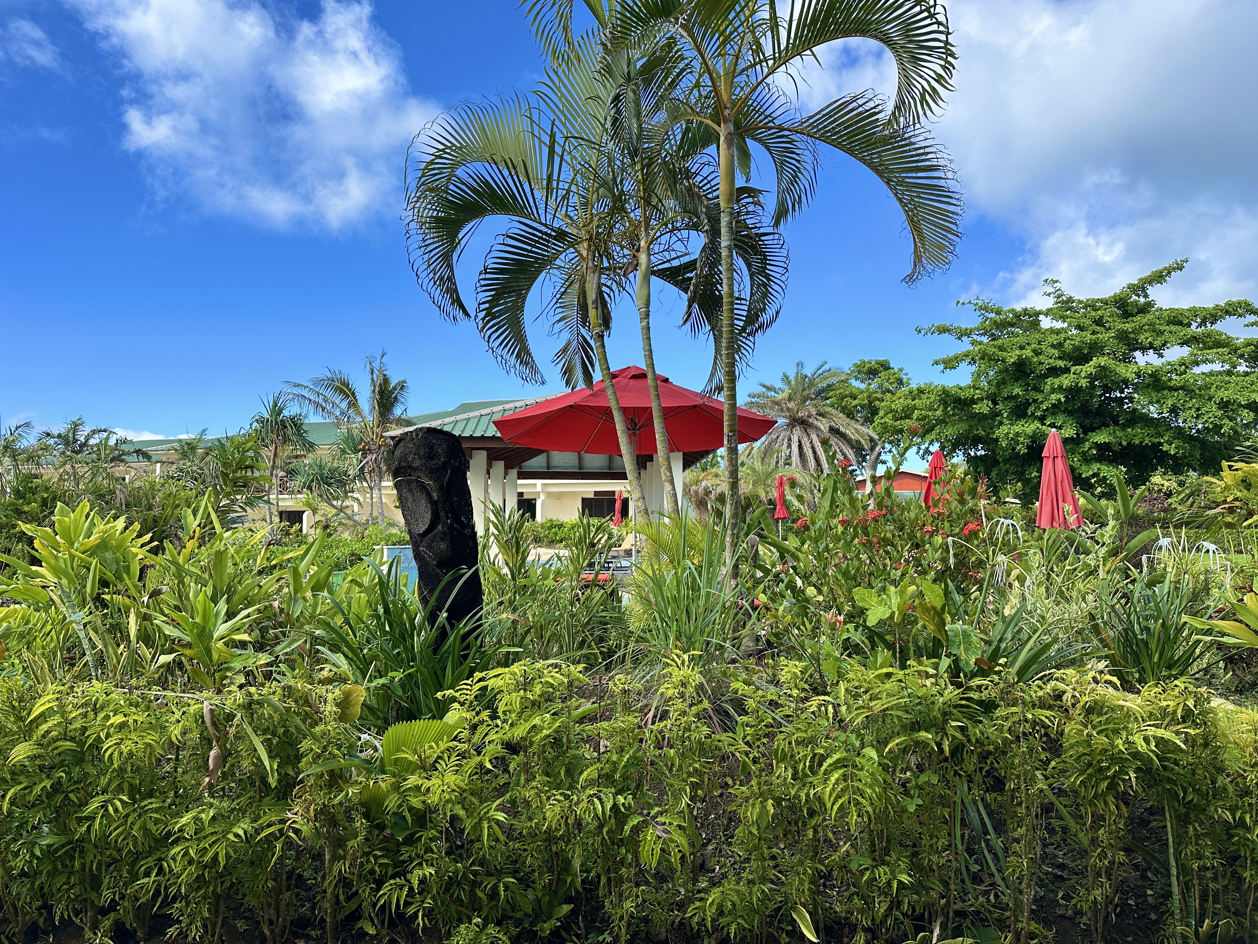 Studio Garden View One Bedroom