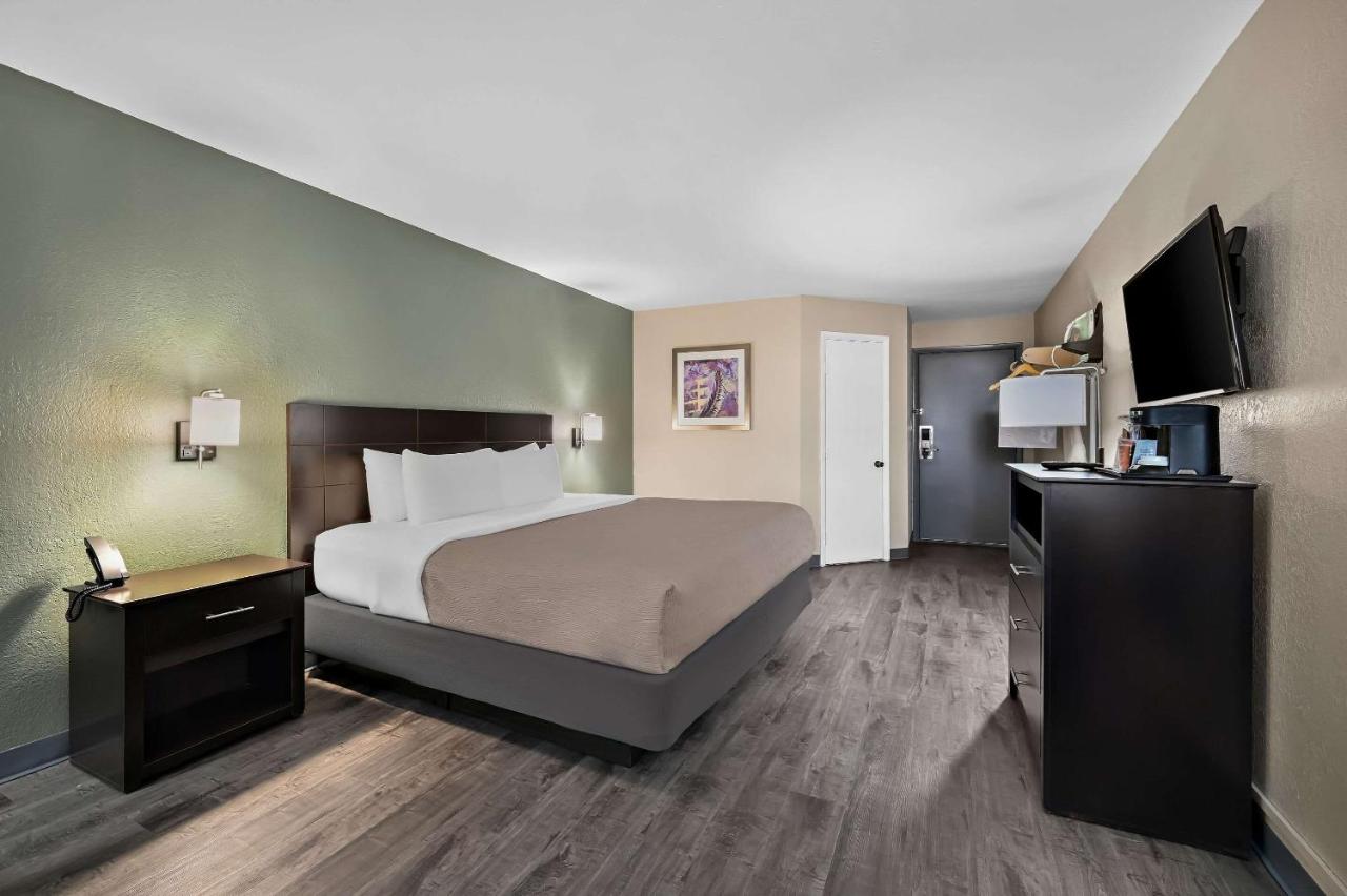 Double King Bed Non Smoking