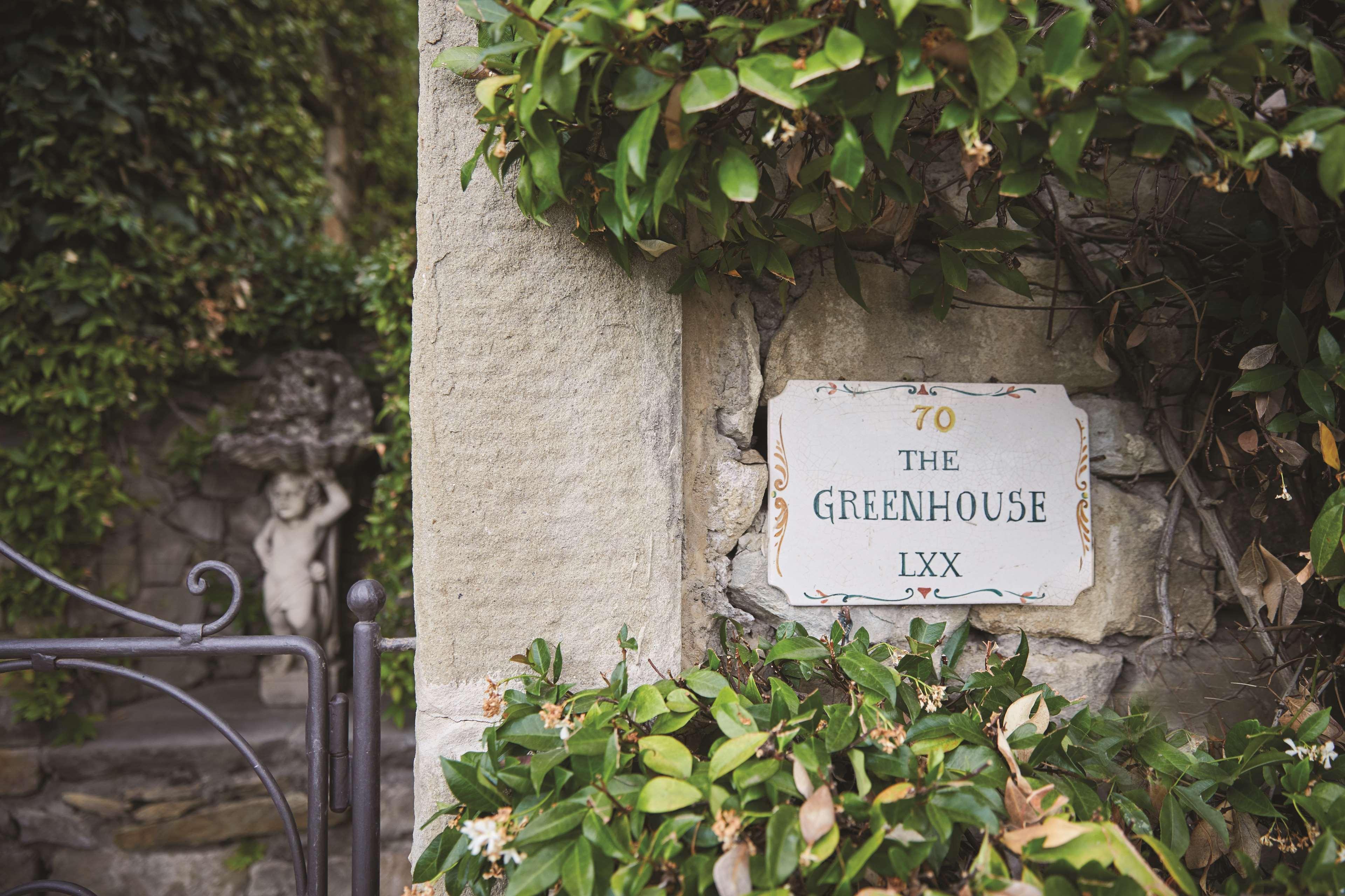 Junior Suite Executive