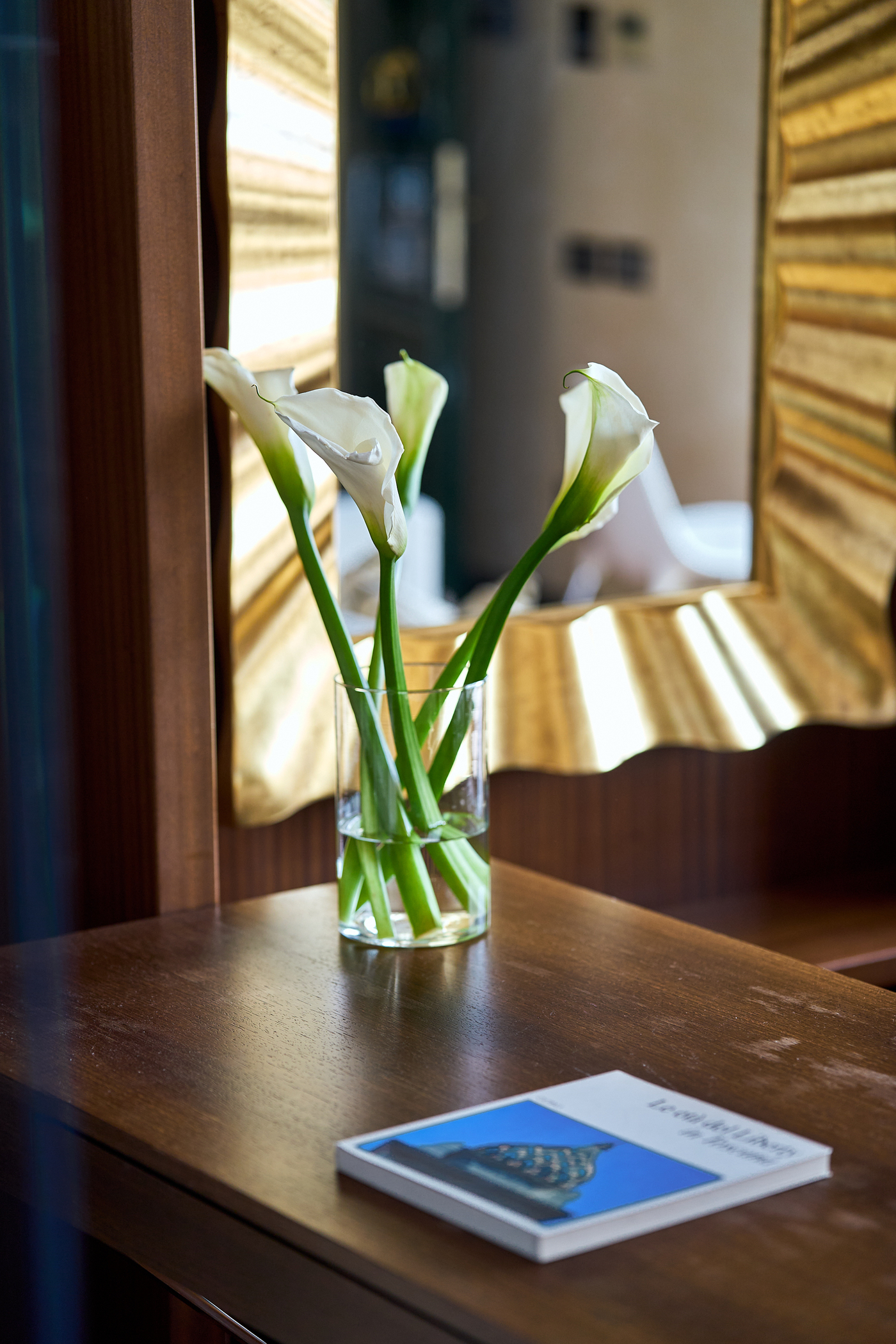 Apartment with Terrace with Views