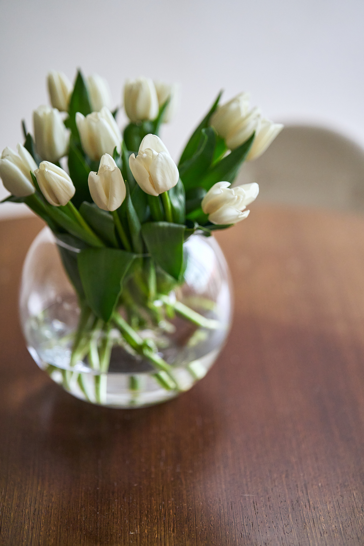 Apartment with Terrace with Views