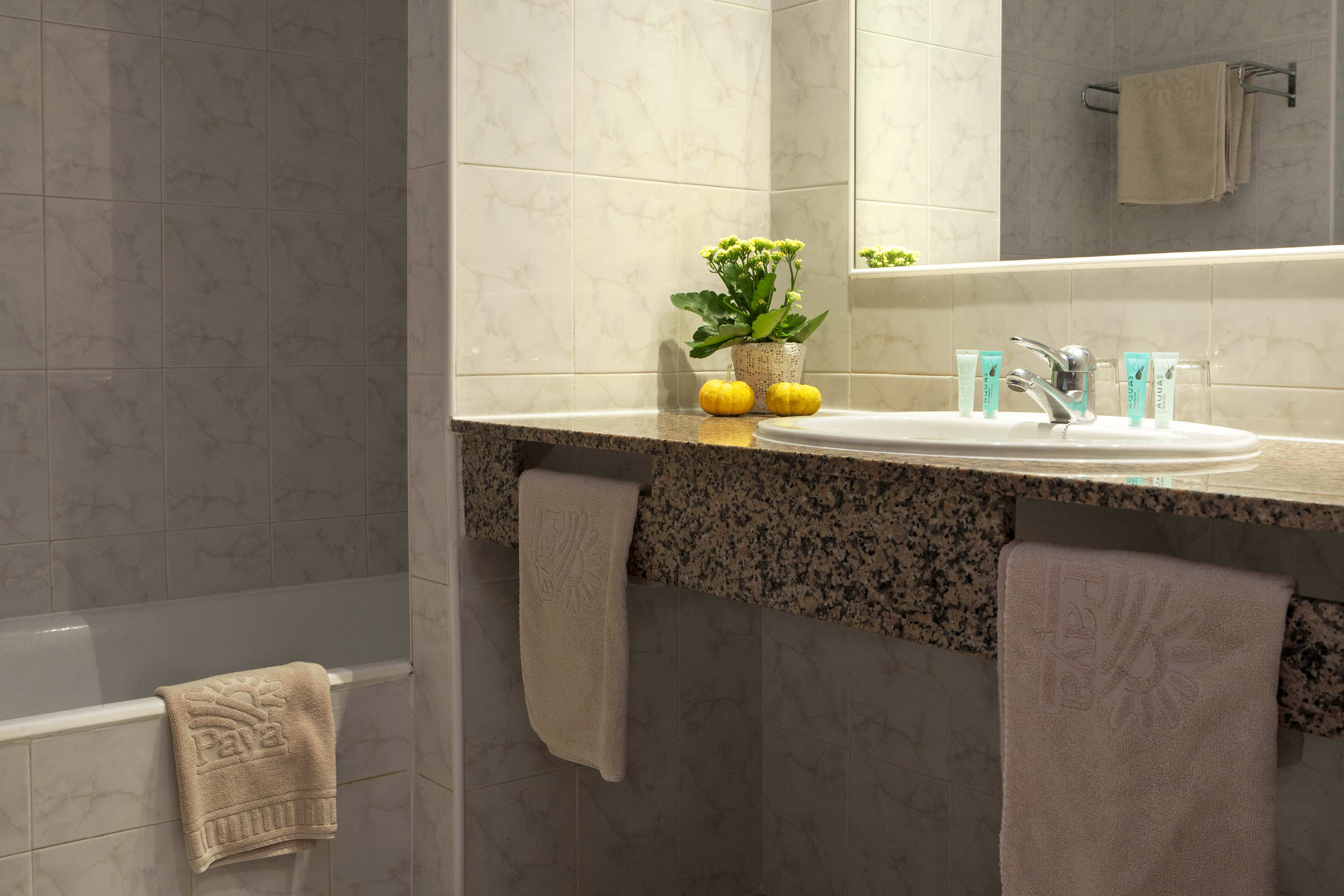 Apartment Capacity 4