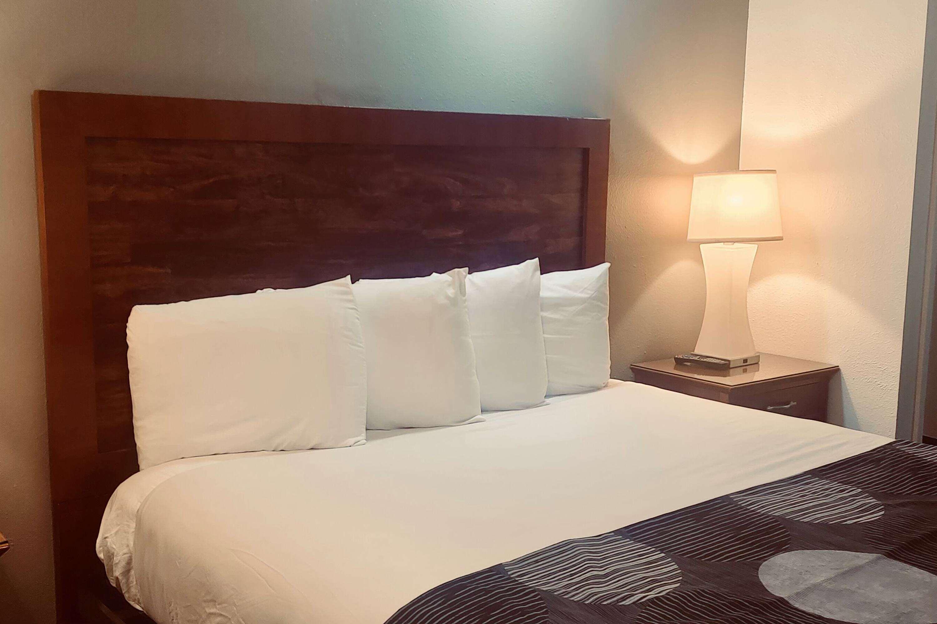 Room Accessible King Size Bed