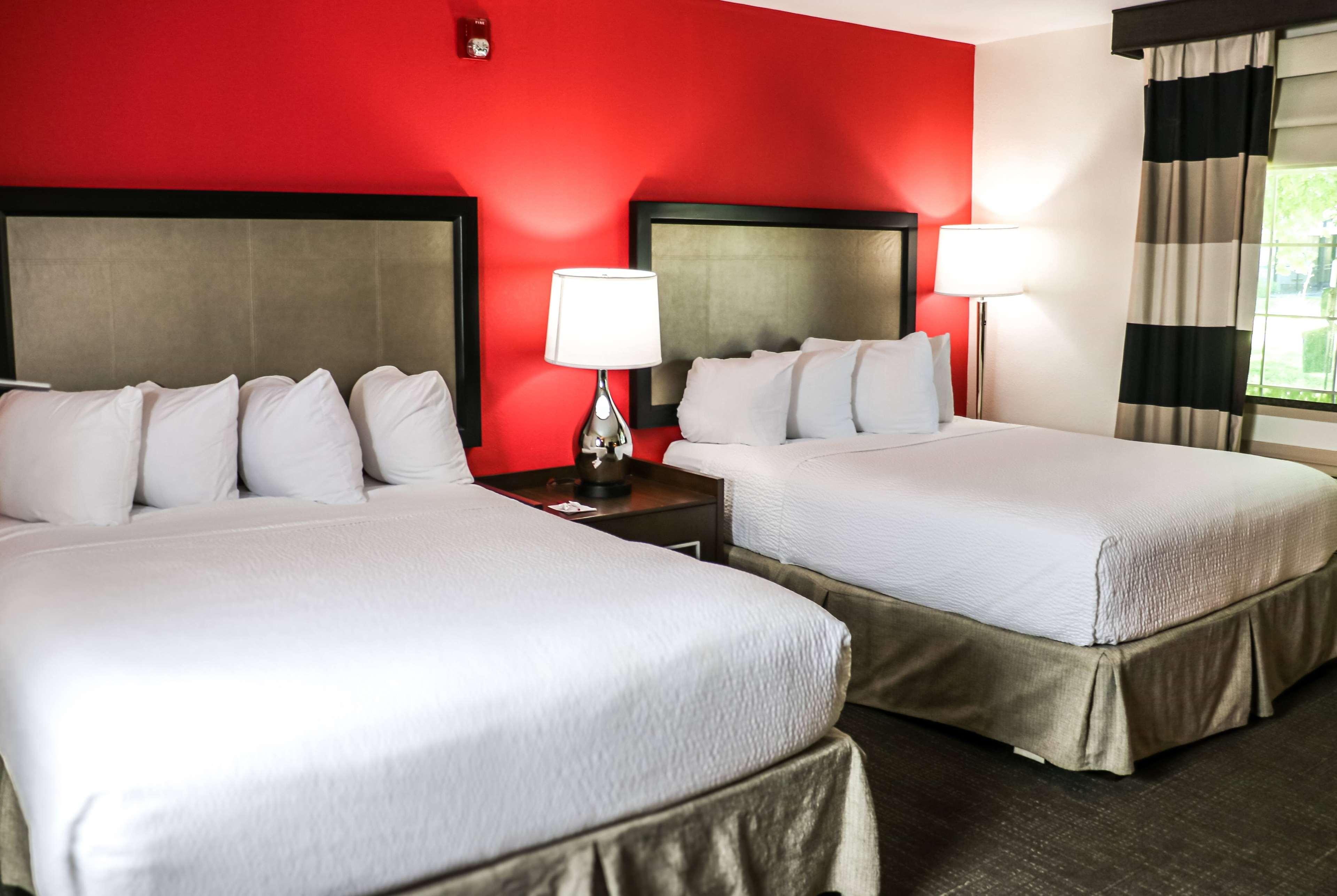 Double Two Queen Beds