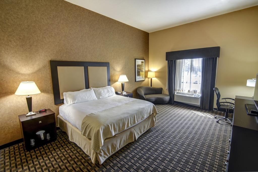 Suite King Bed Non Smoking