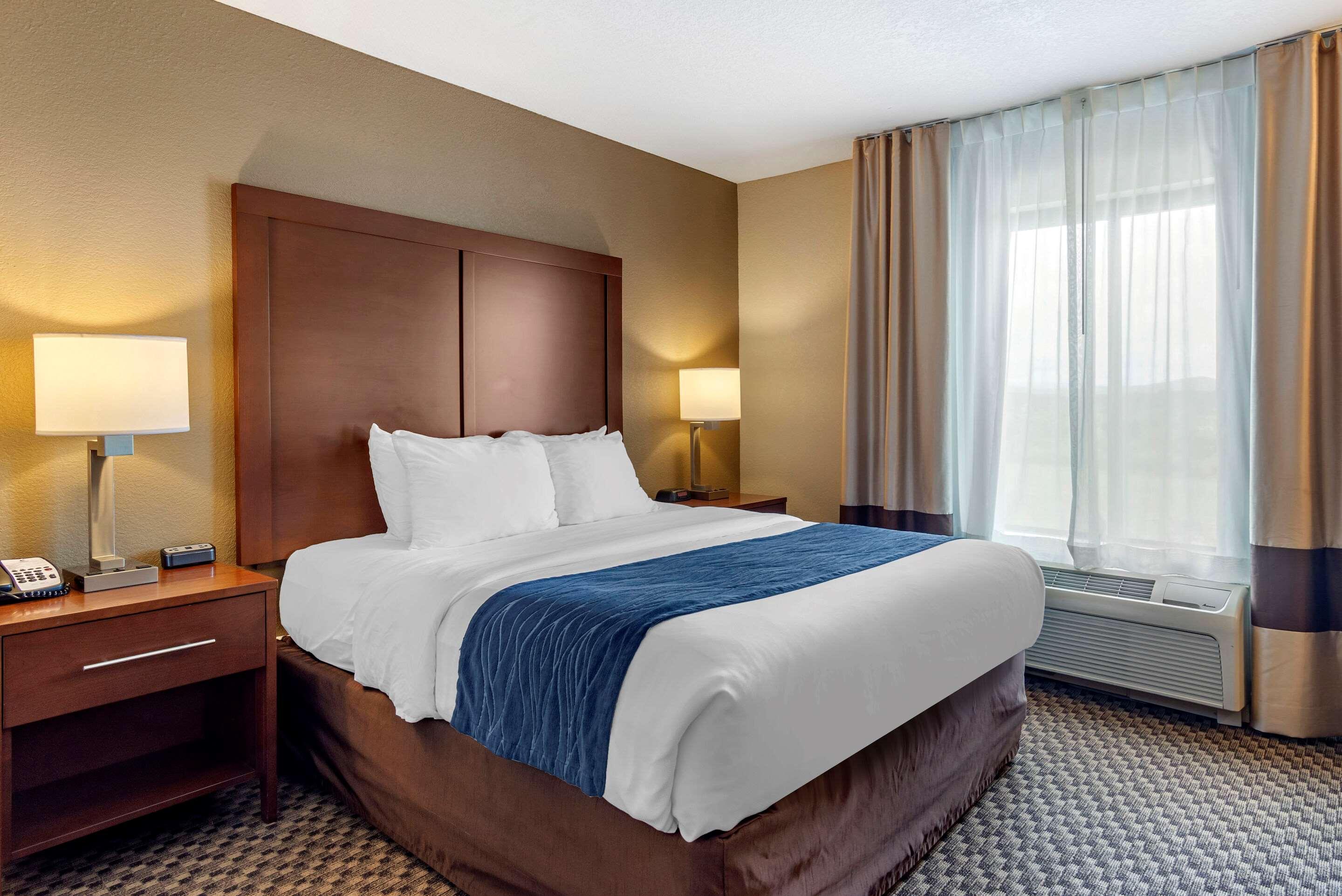 Suite King Bed Non Smoking