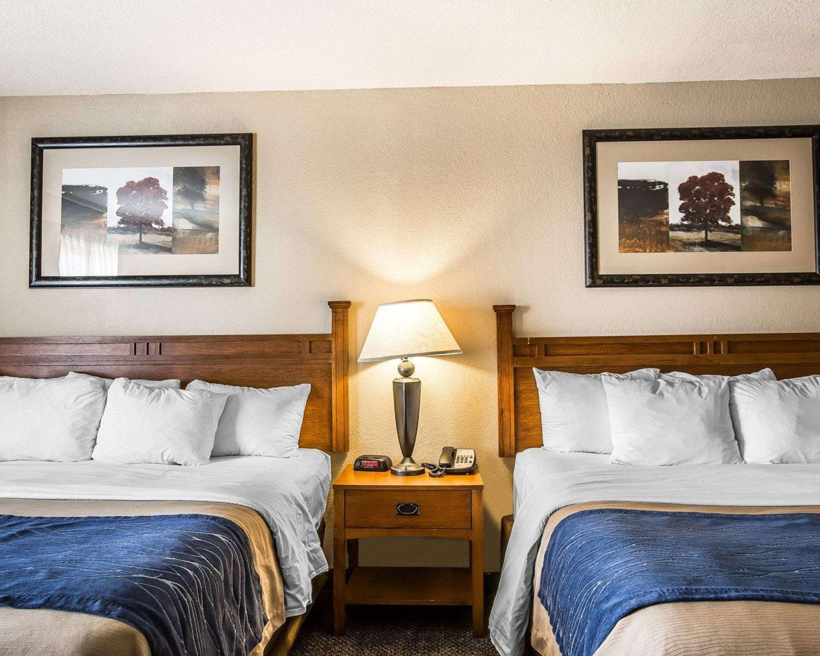 Double Two King Beds