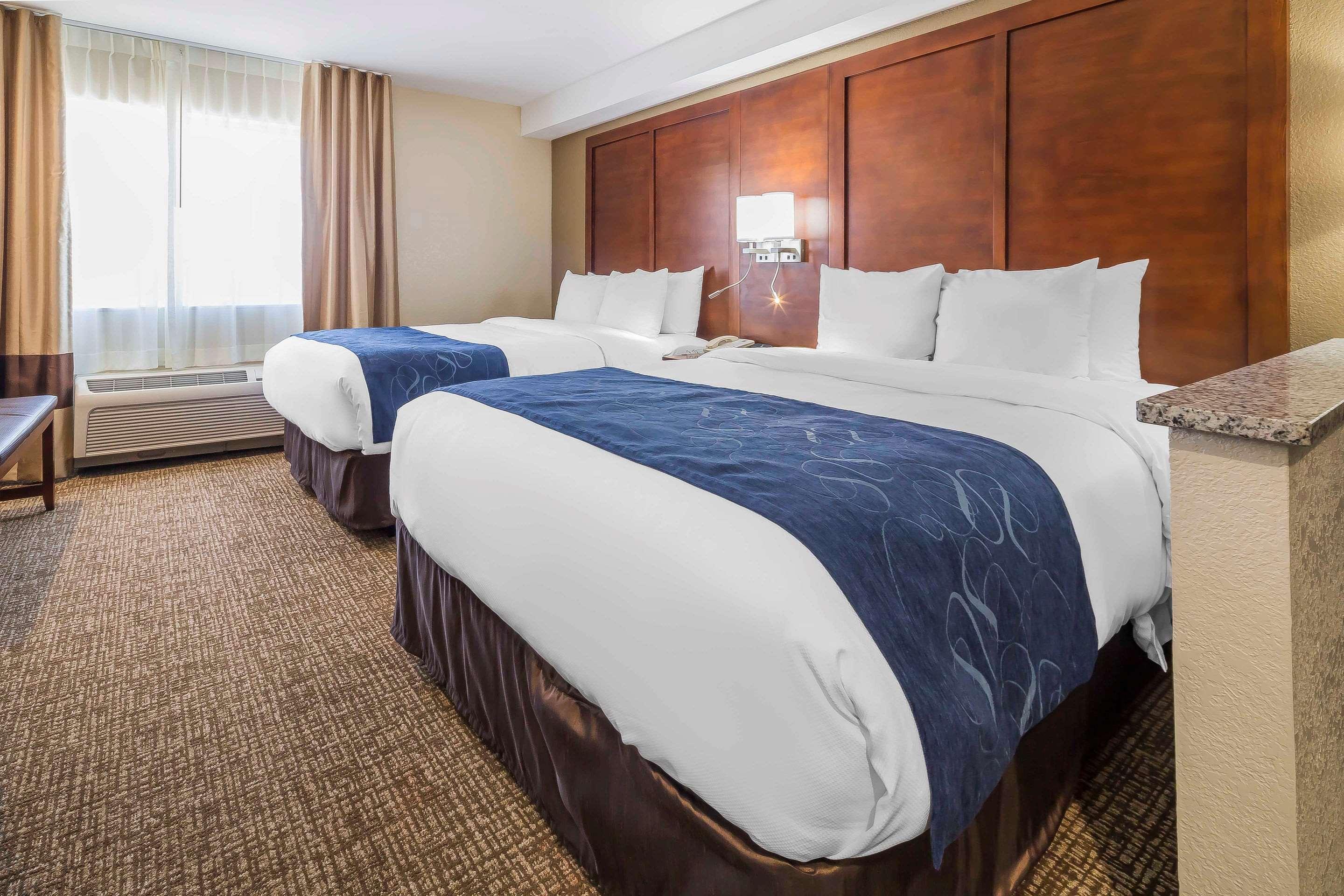 Suite Two Queen Beds