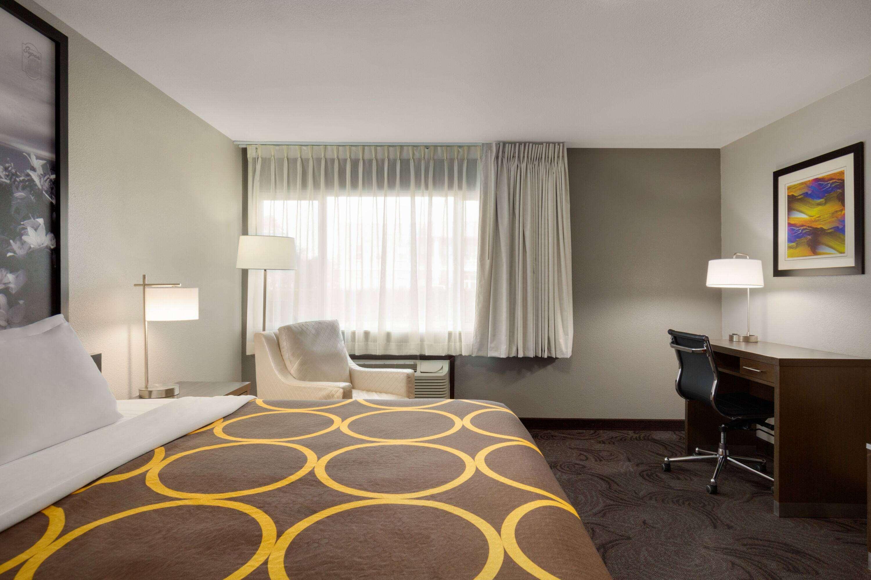 Double King Bed Non Smoking