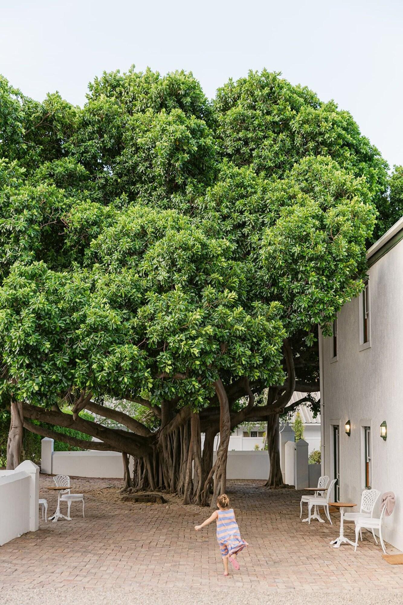 Double King Bed Non Smoking