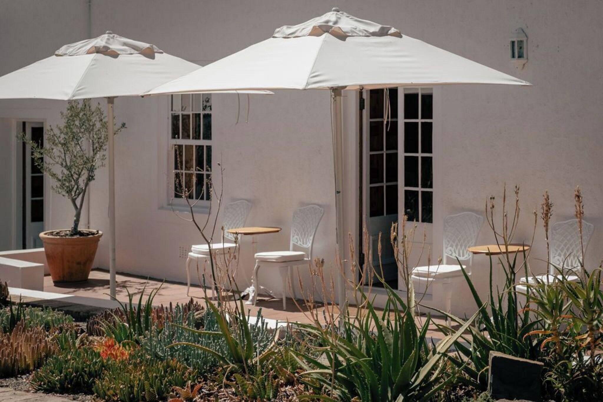 Suite Pool View King Bed