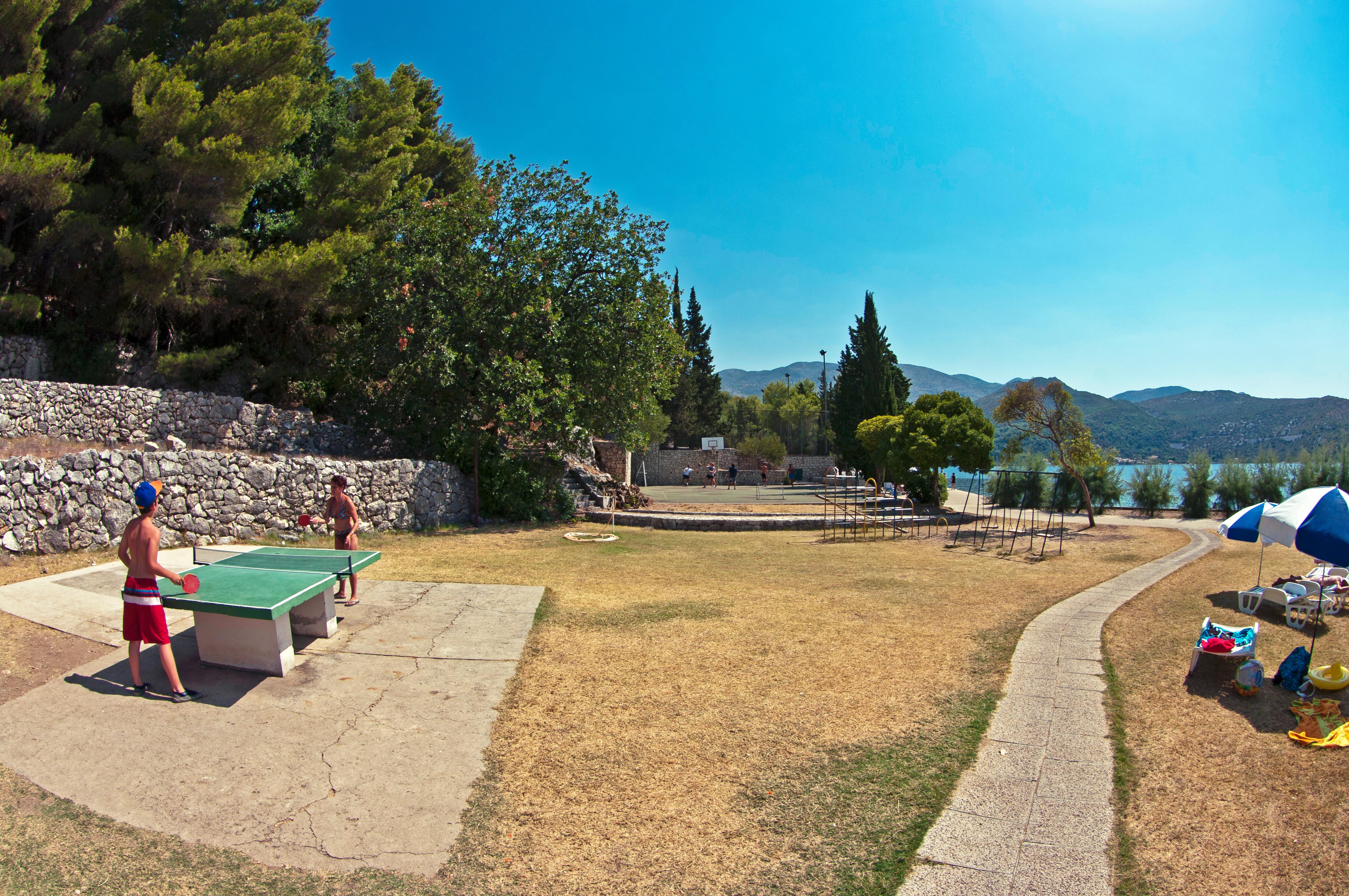 Sports and Entertainment