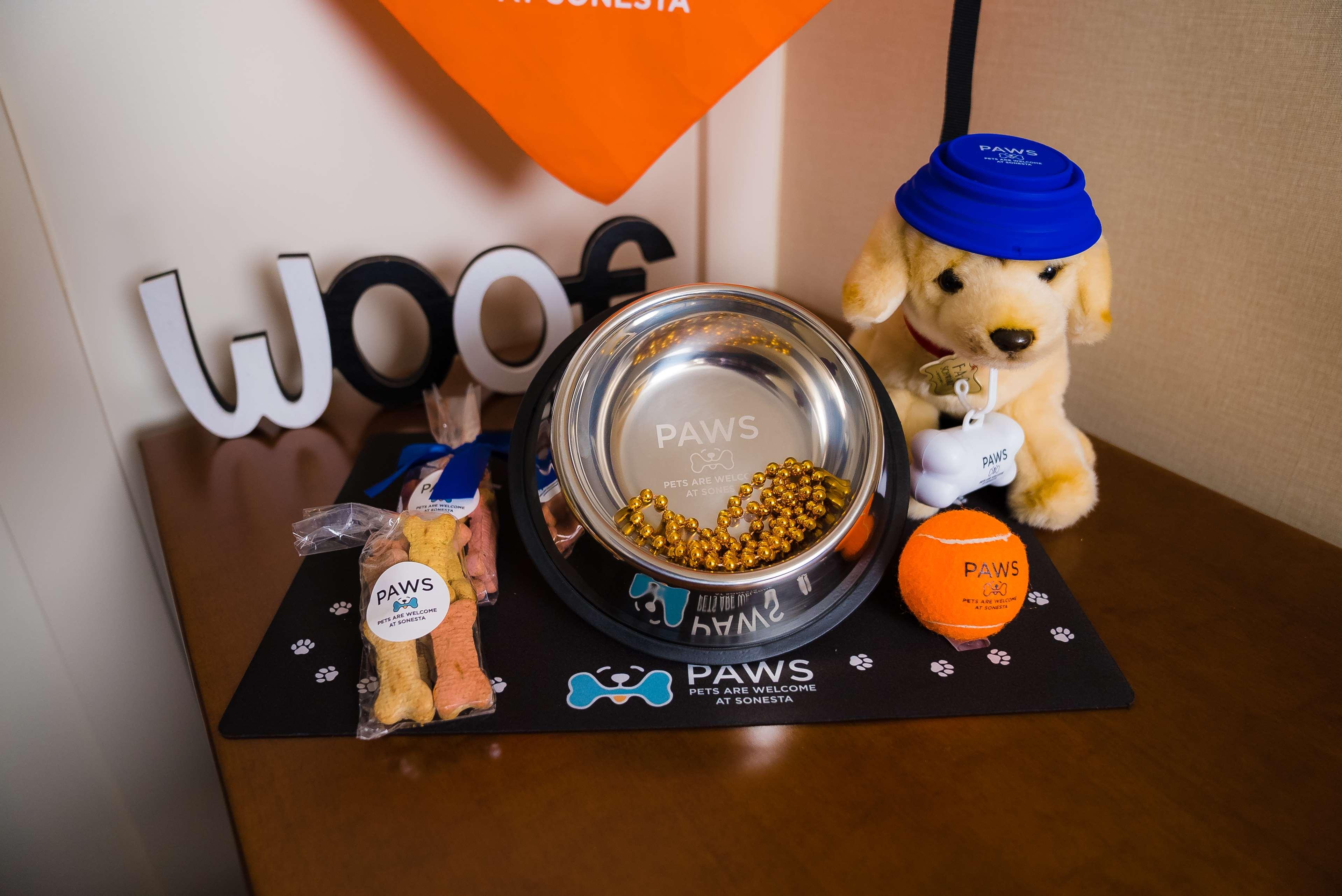 Suite Accessible-queen Size Bed