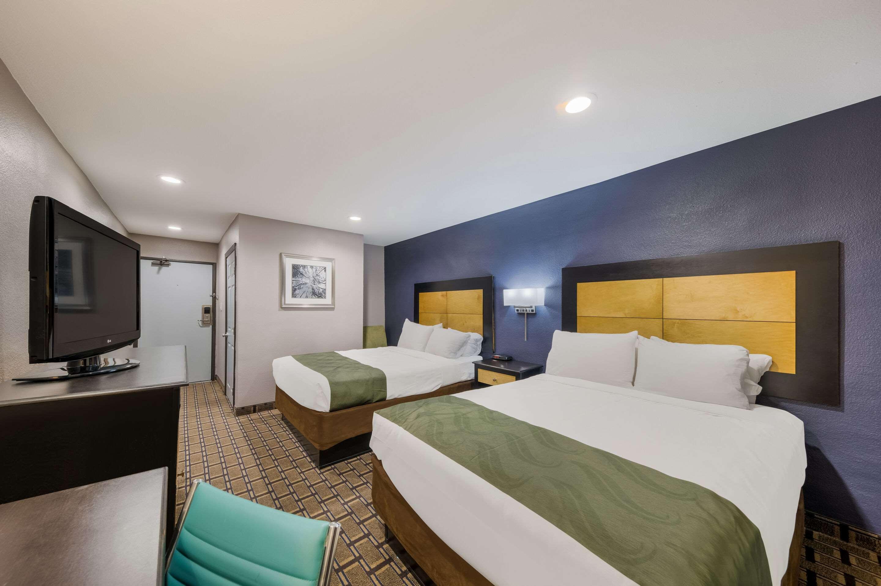 Room Accessible-two Queen Beds