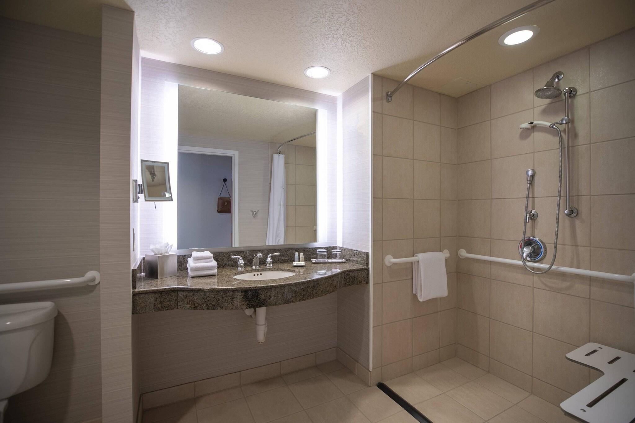 Suite Accessible King Size Bed