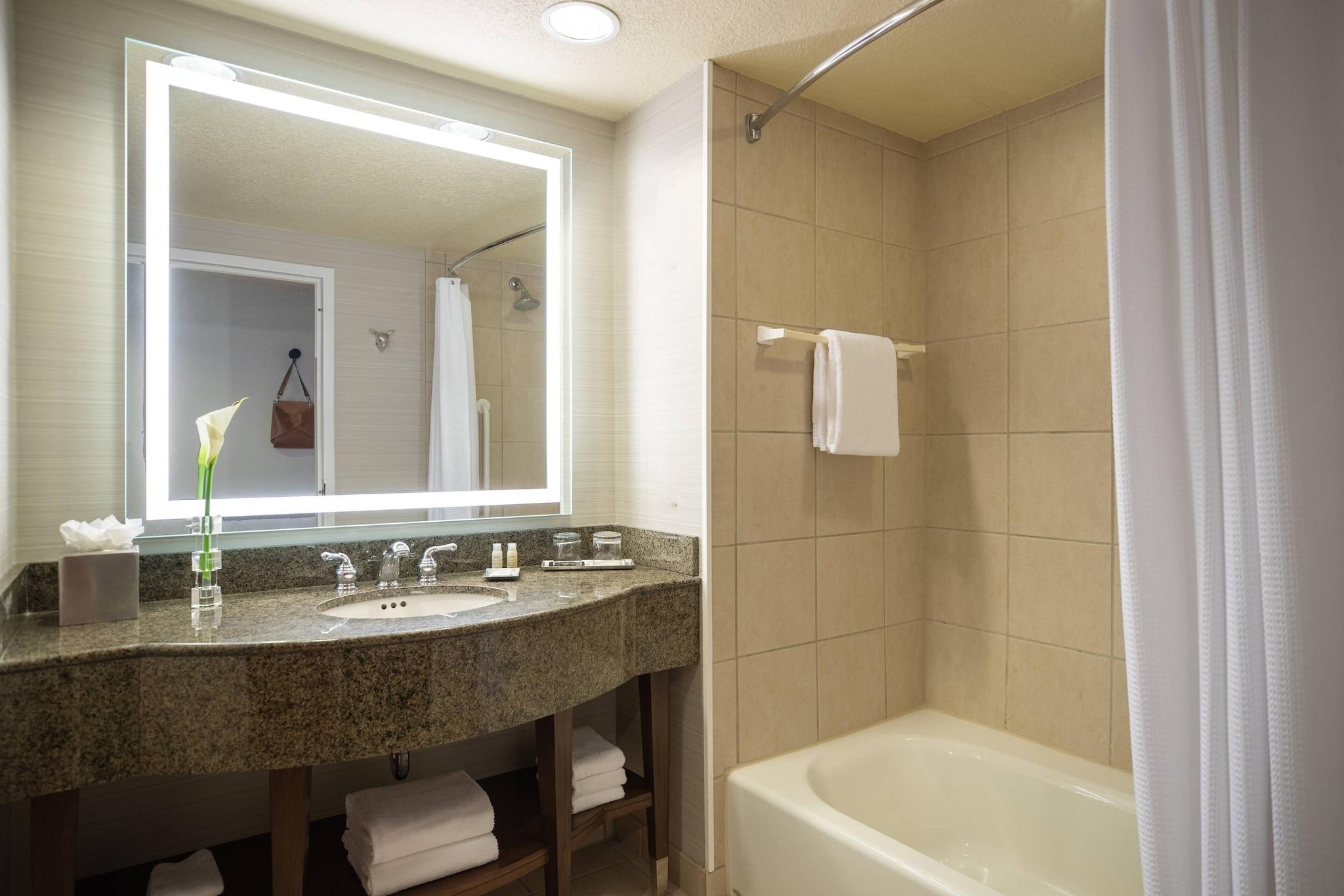 Suite Executive King Bed