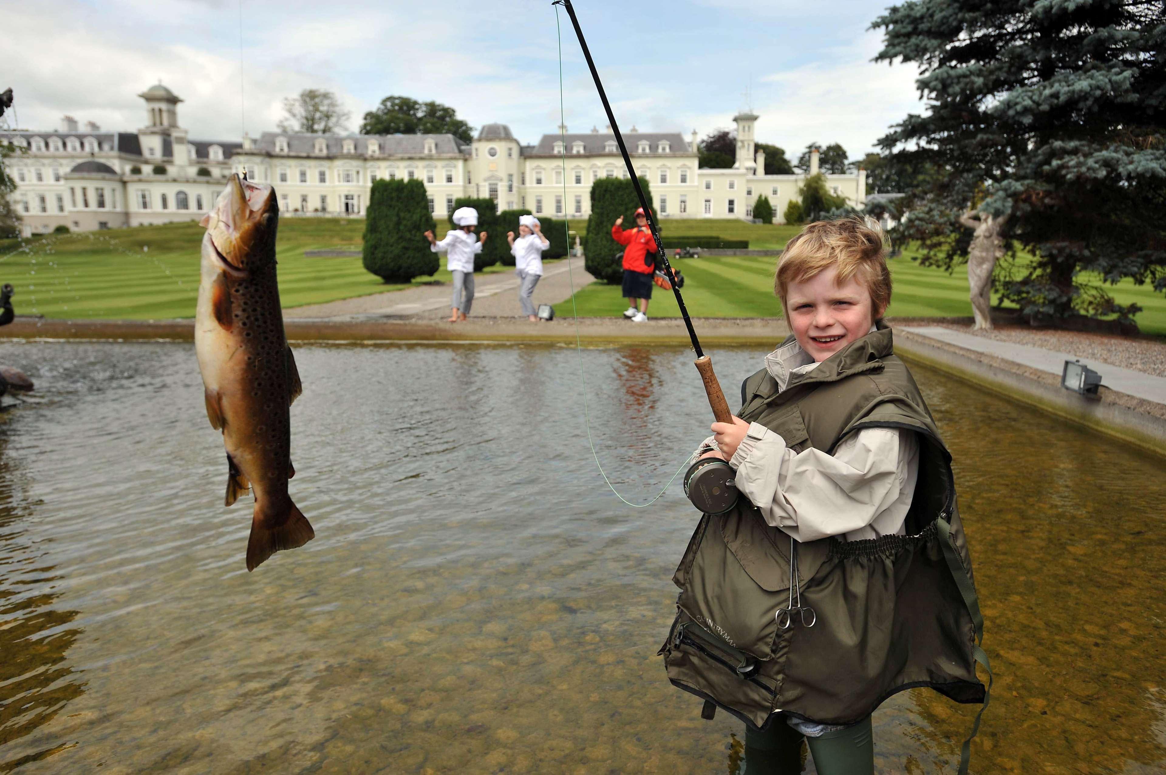 Sports and Entertainment