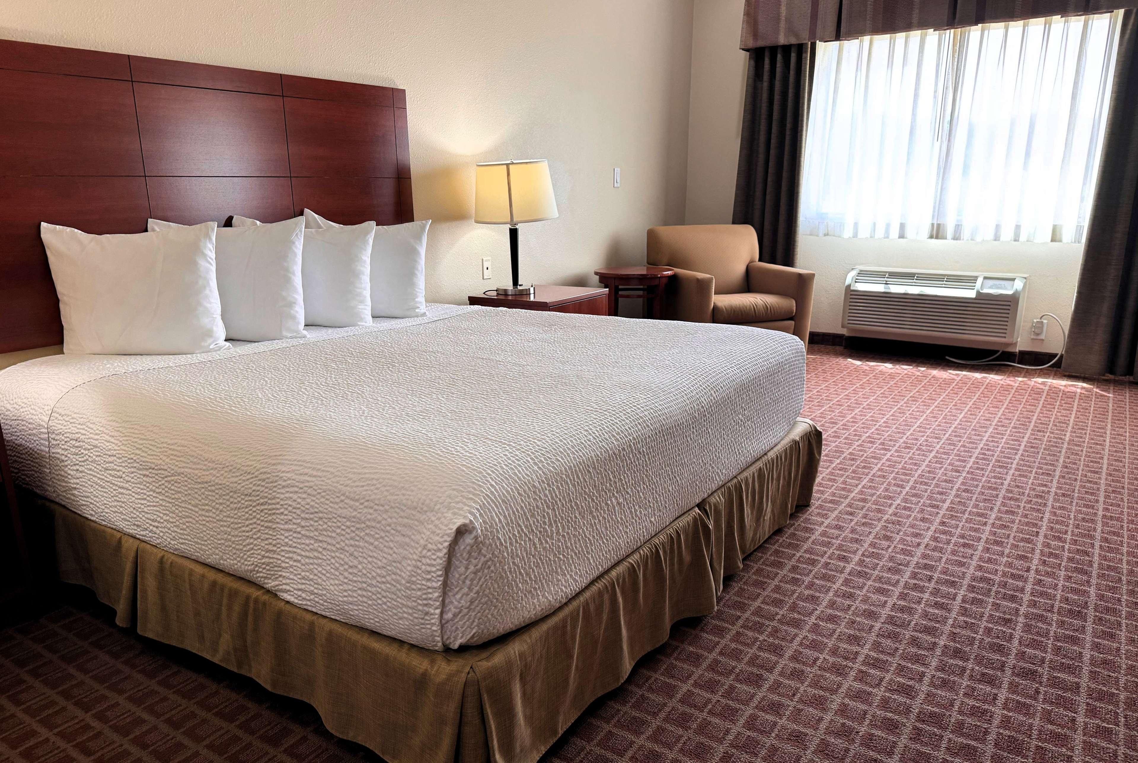 Double King Bed Non Smoking