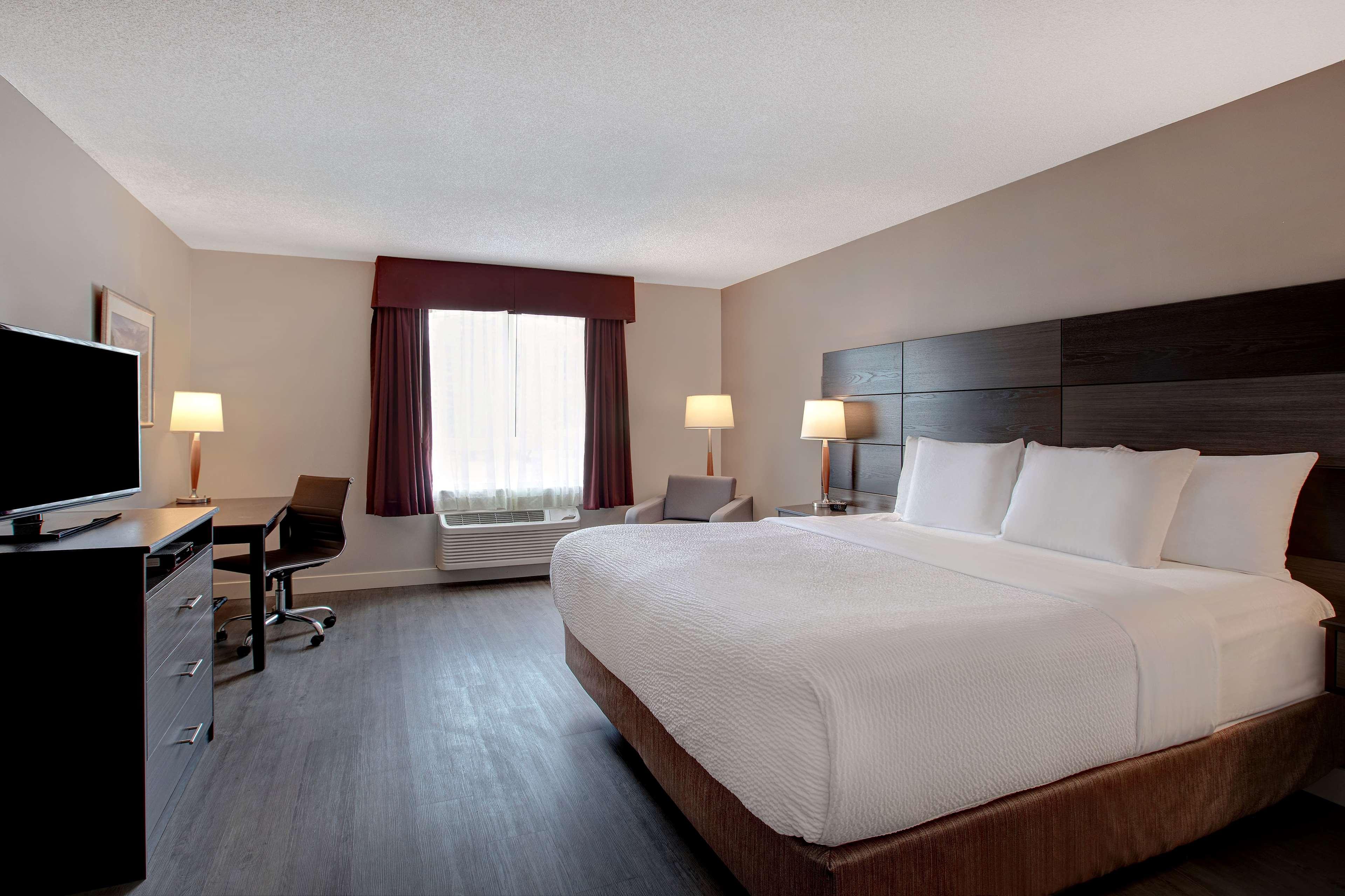 Double King Bed Non Smoking