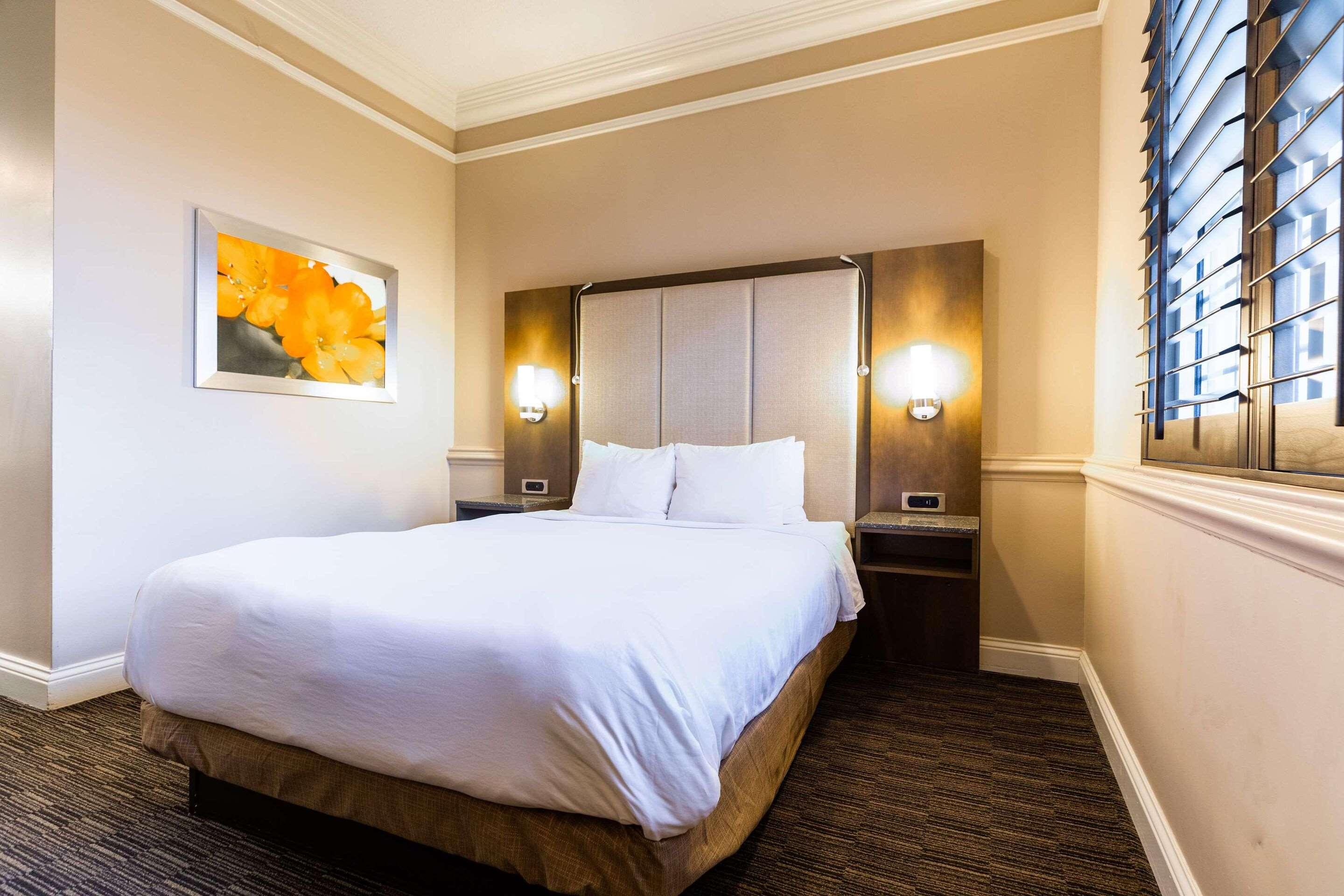 Double Queen Size Bed