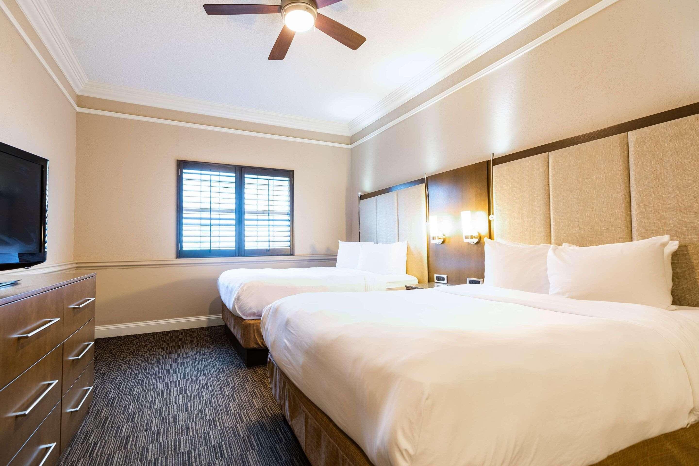 Suite Queen Size Bed