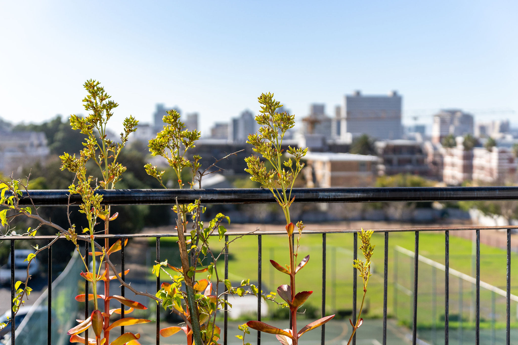 Suite Deluxe Two Beds