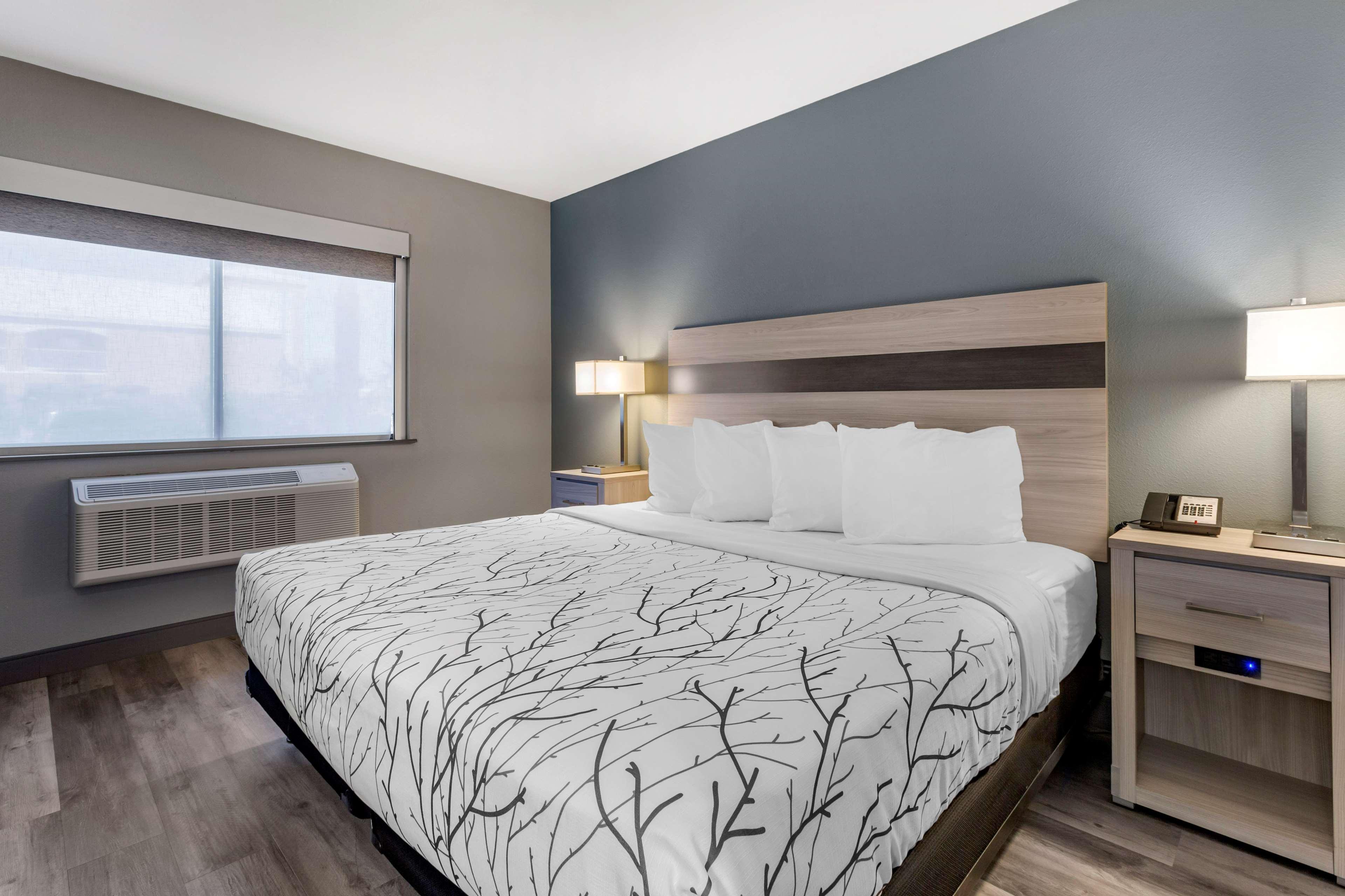 Room Accessible King Size Bed