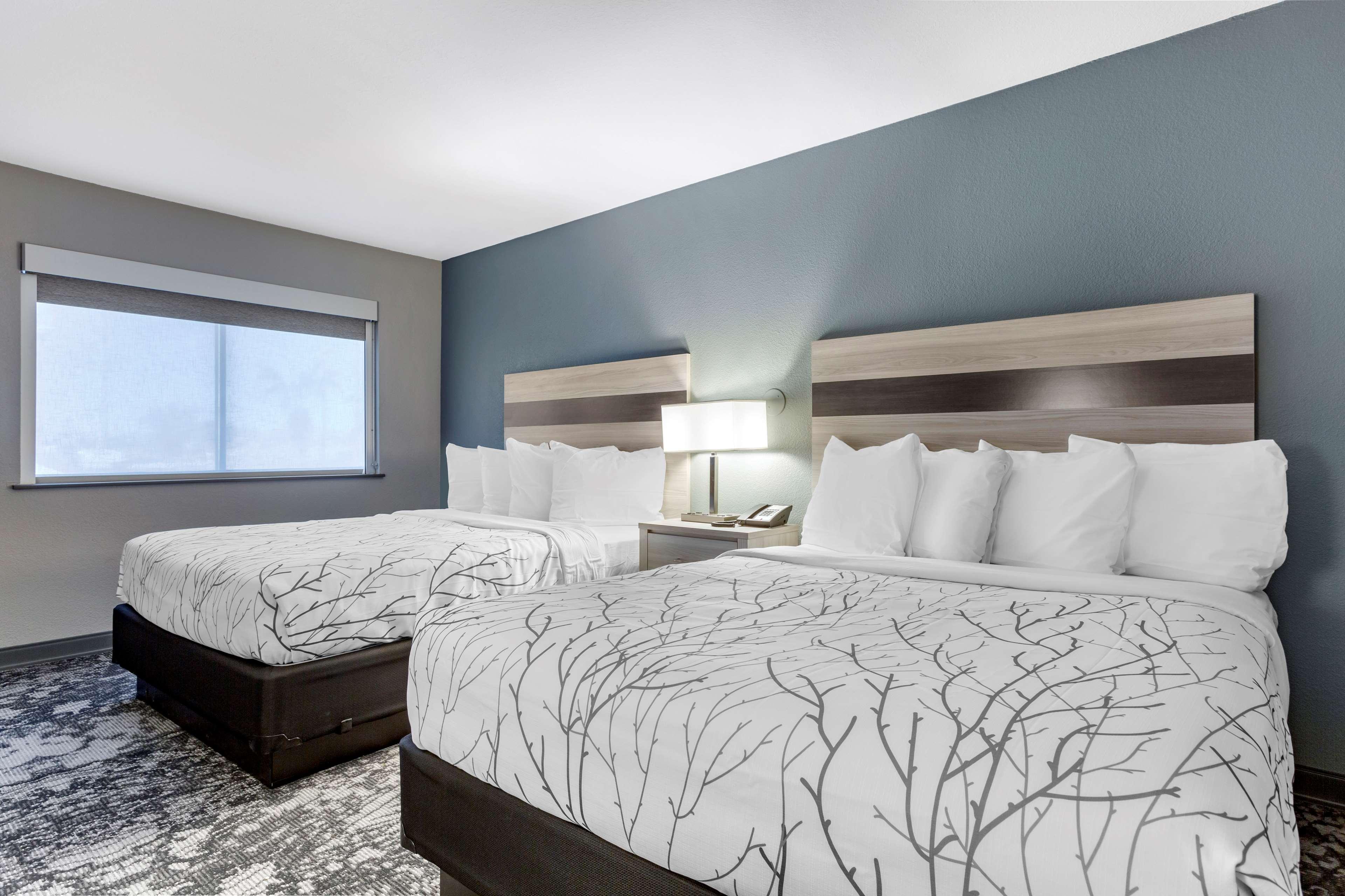 Suite Two Queen Beds