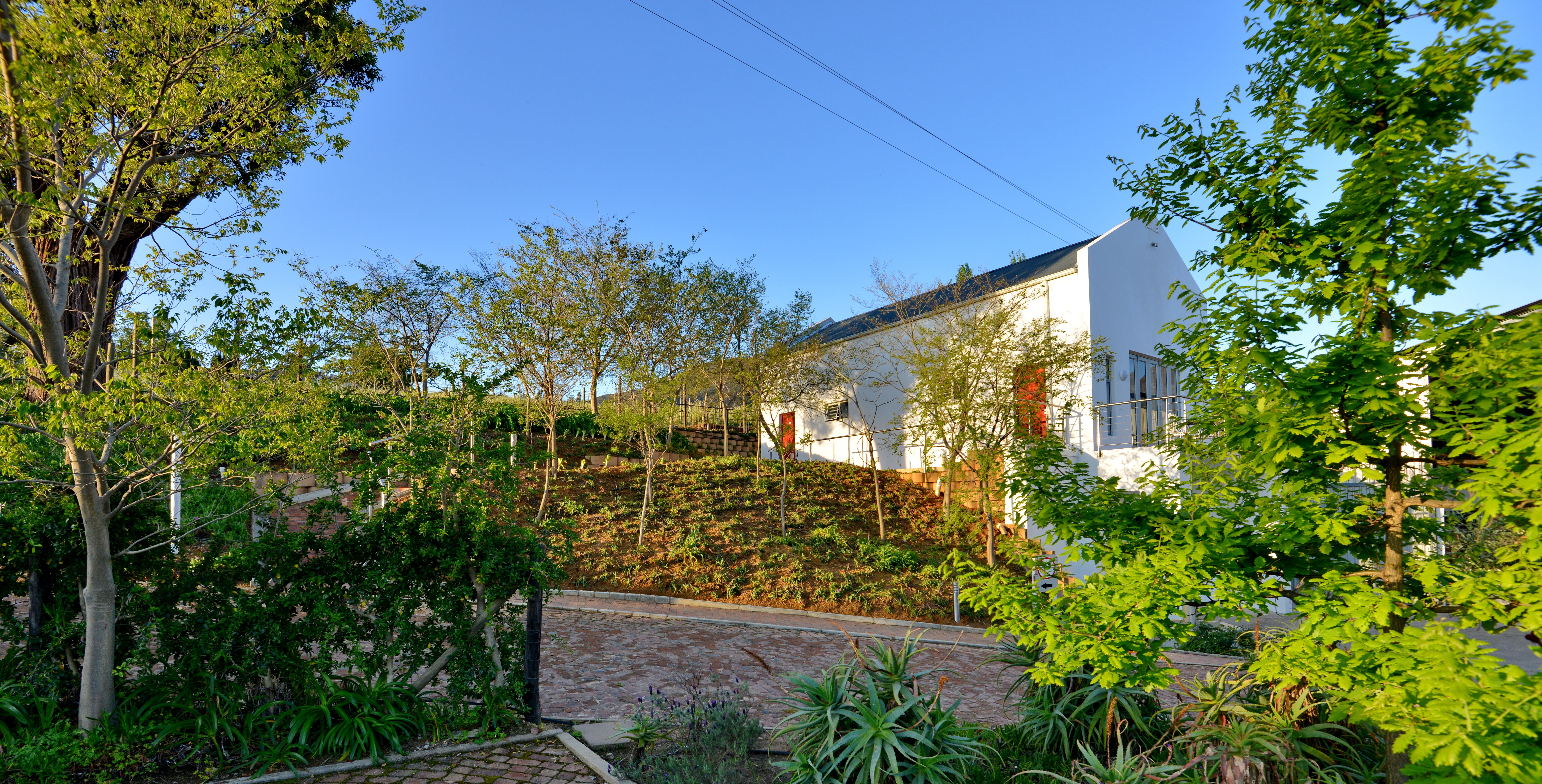 Double or Twin Superior One Bedroom