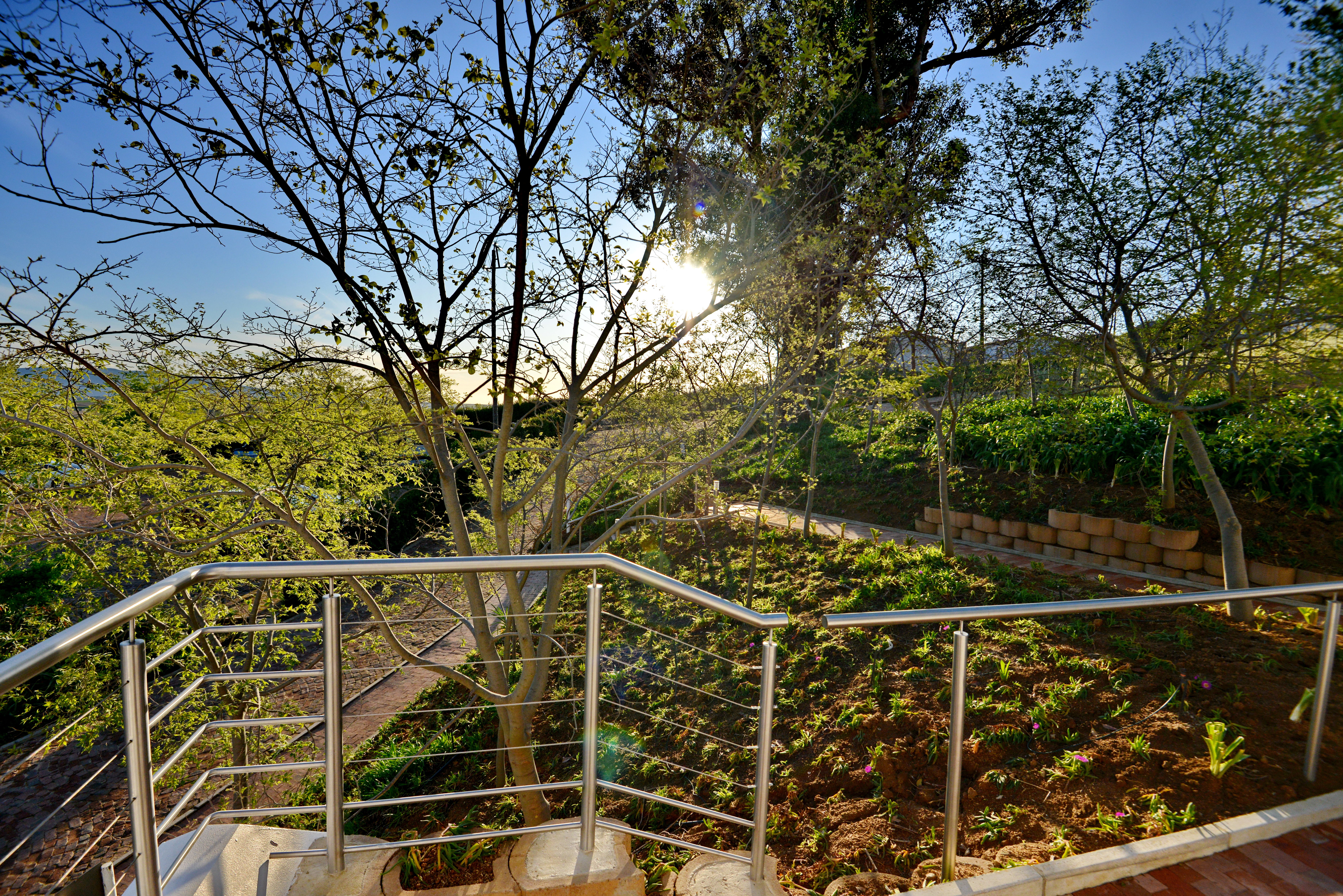 Double or Twin Superior One Bedroom