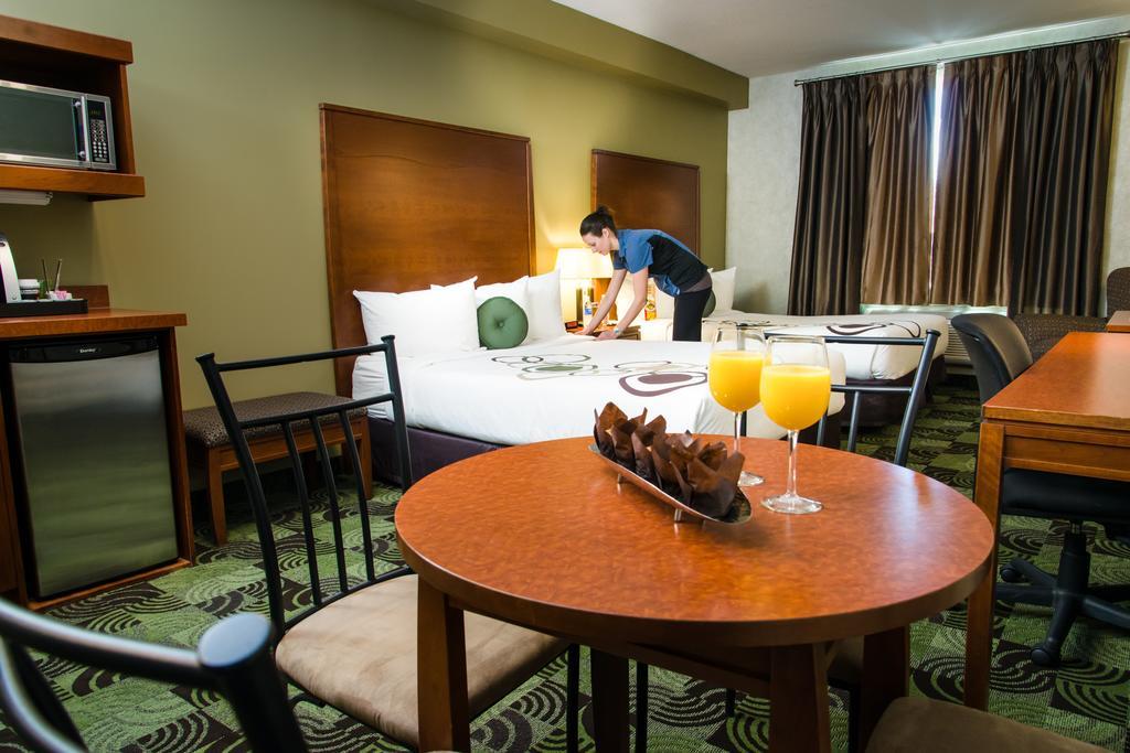 Suite Two Queen Beds