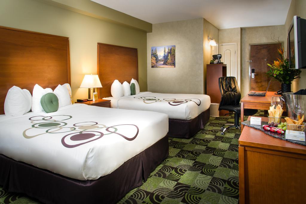 Double Two Queen Beds