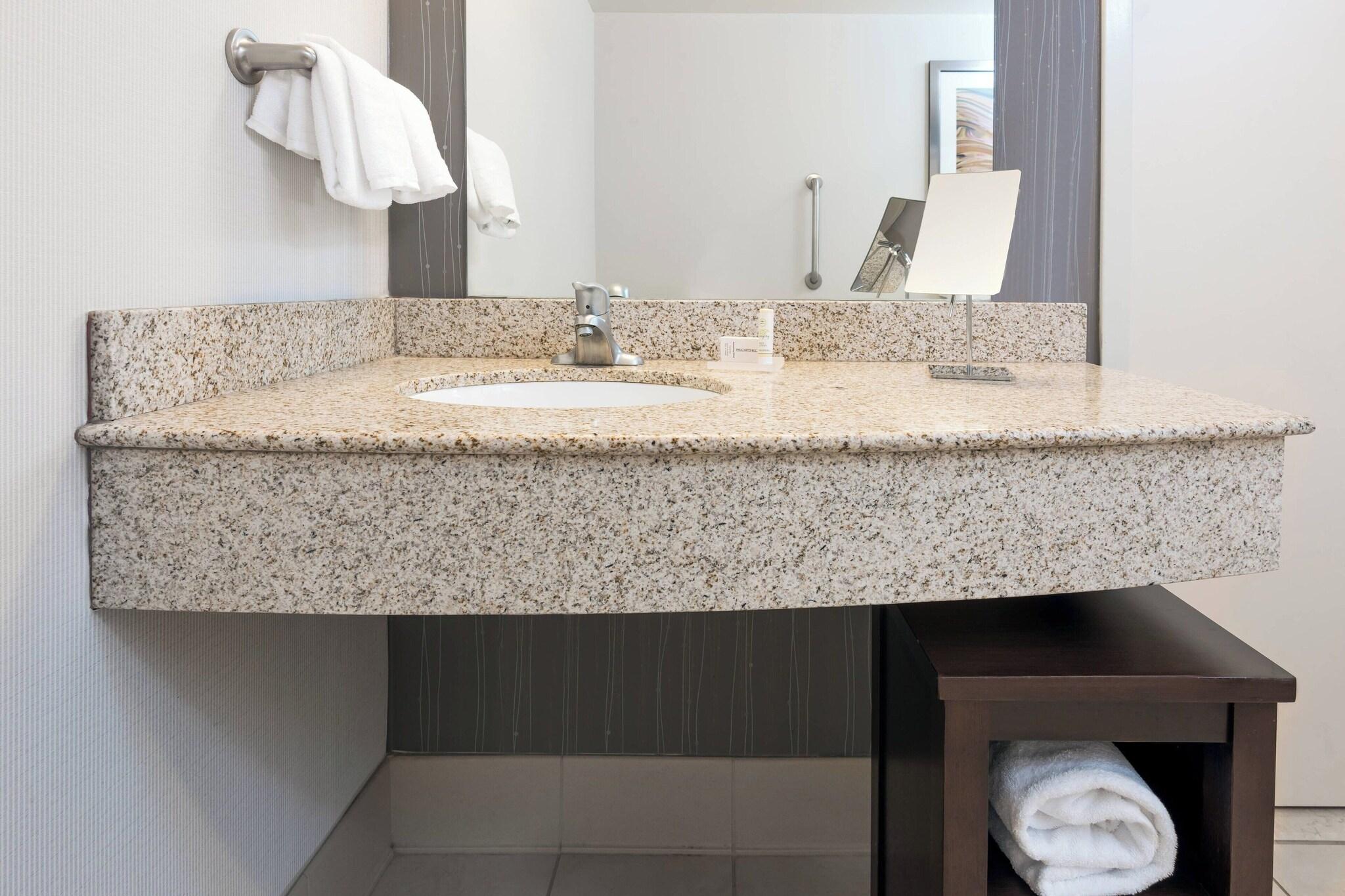 Suite King Bed One Bedroom 