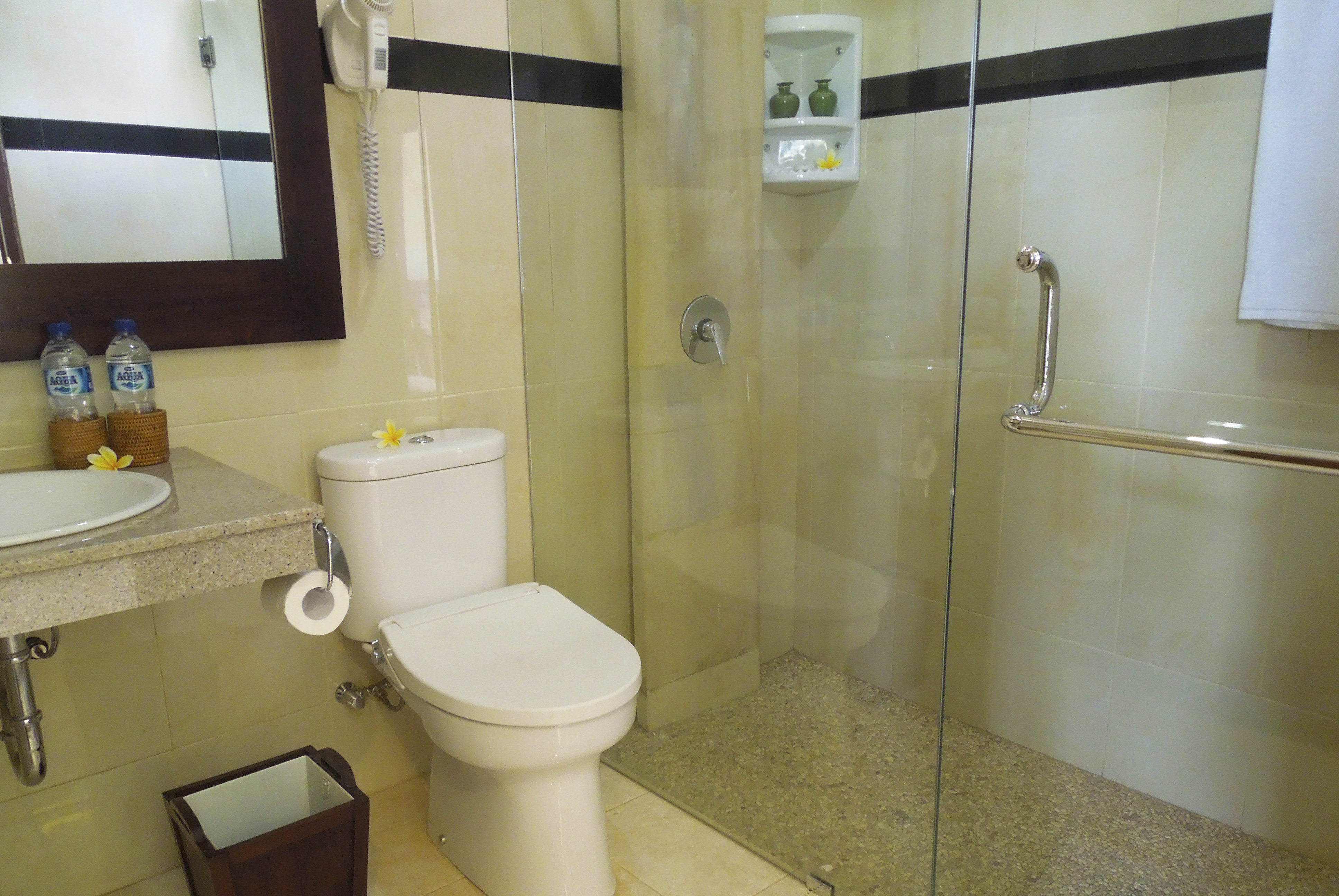 Double or Twin Superior