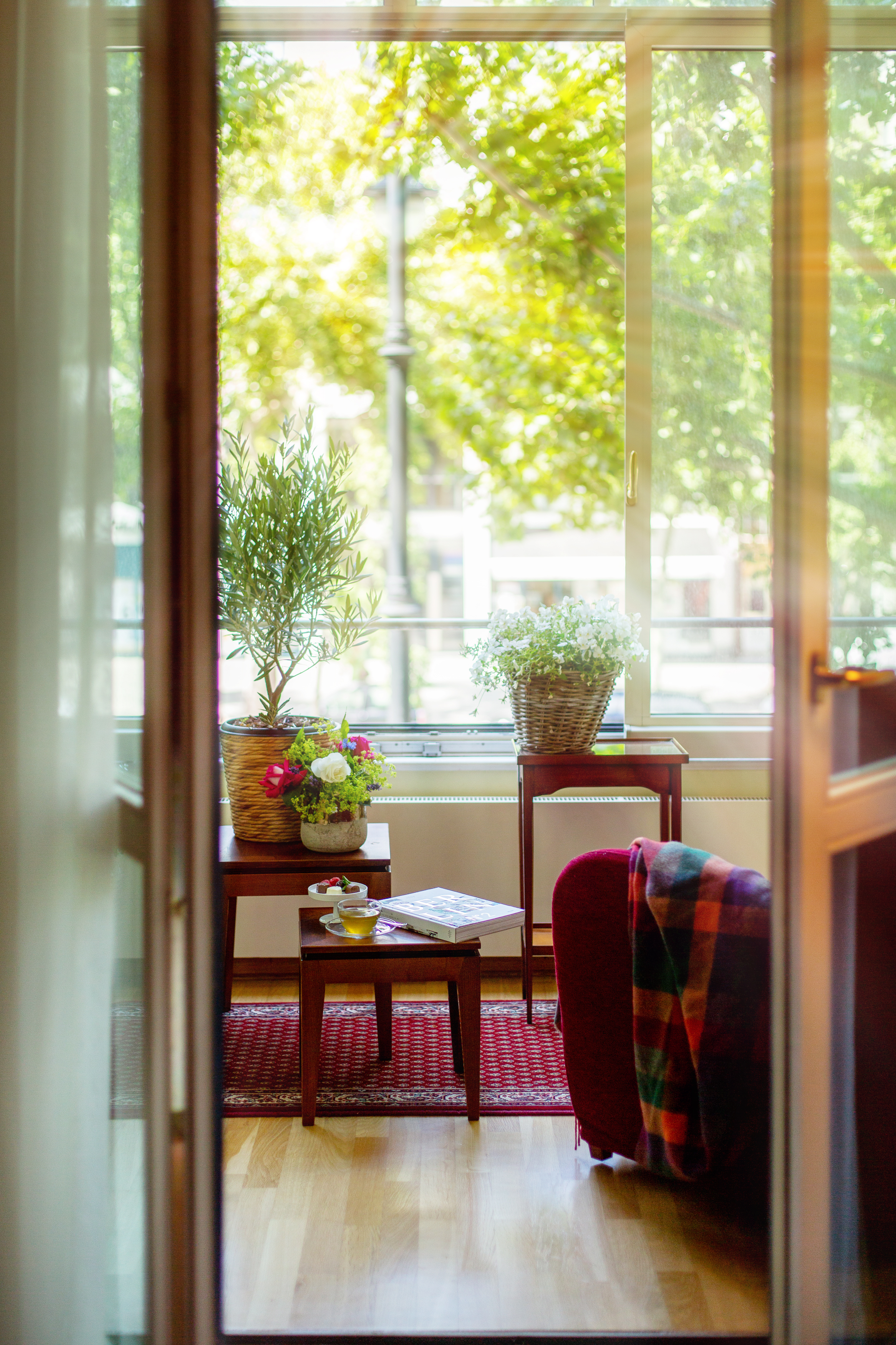 Family Room Standard