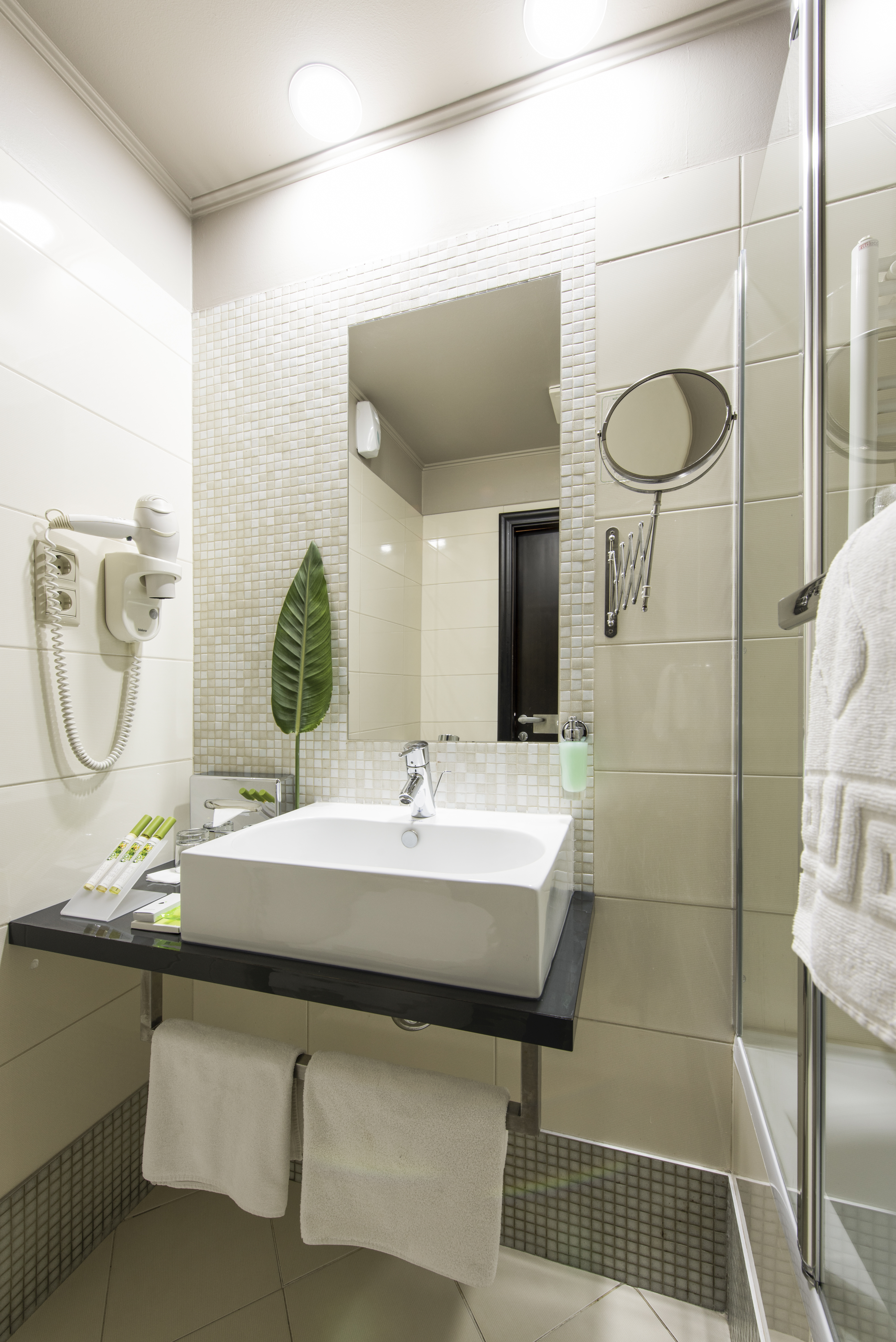 Double or Twin Standard