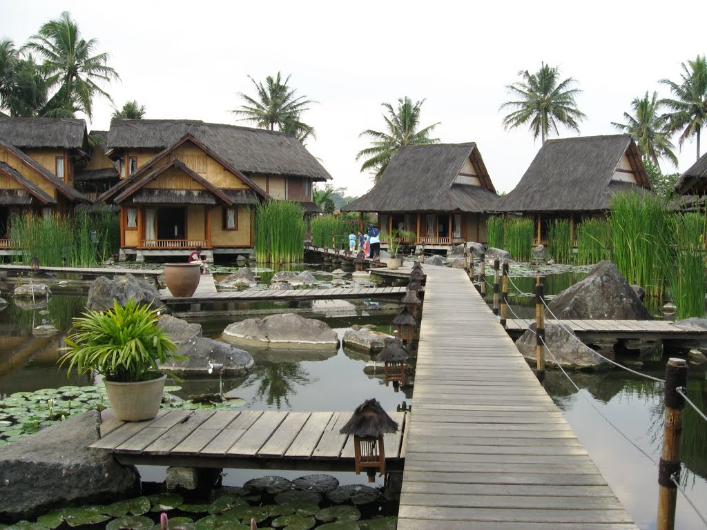 Junior Suite One Bed