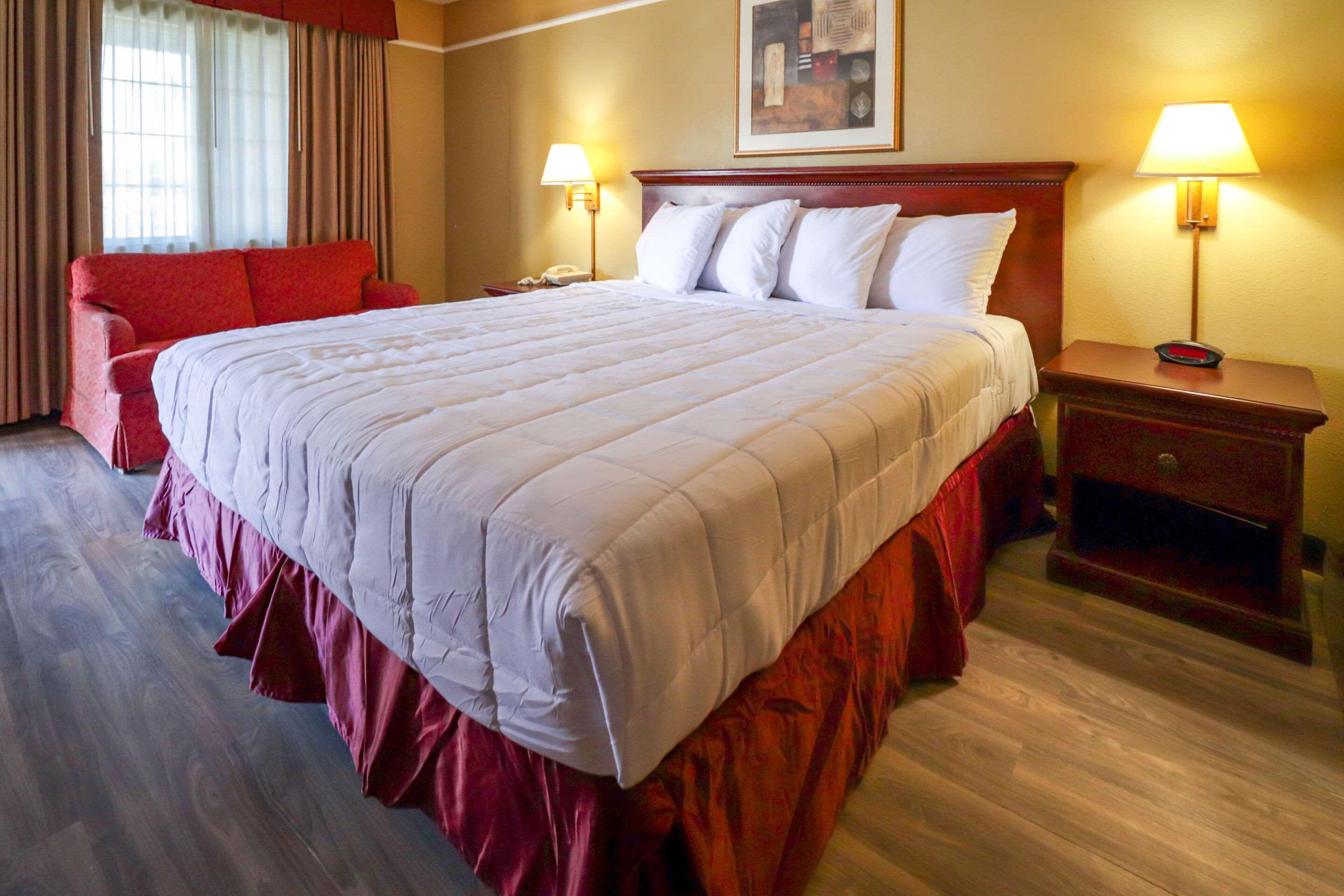 Suite King Bed Non Smoking