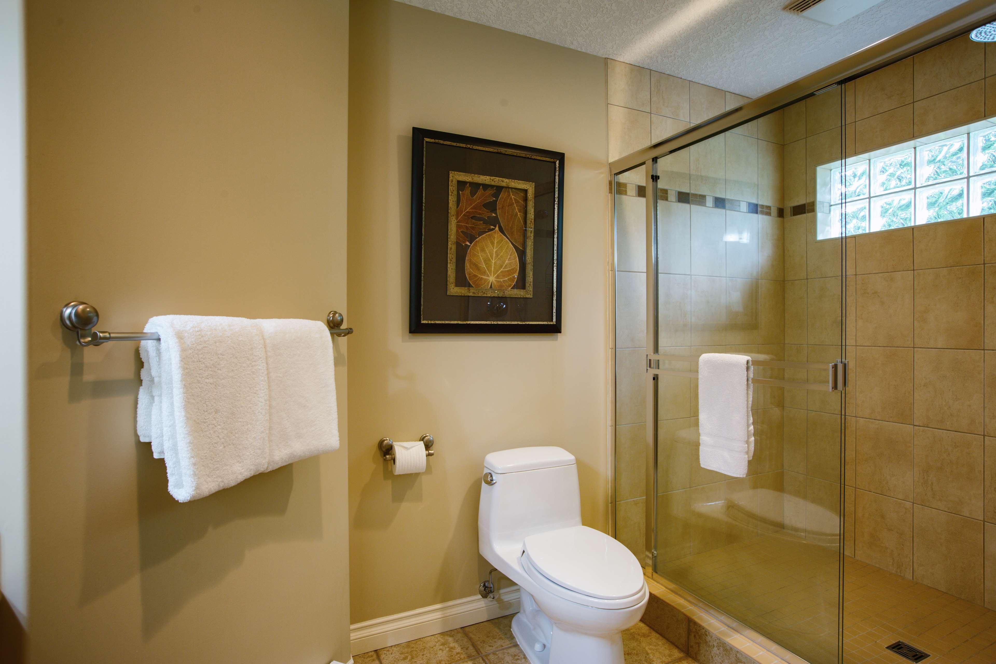 Junior Suite One Bedroom One Bathroom