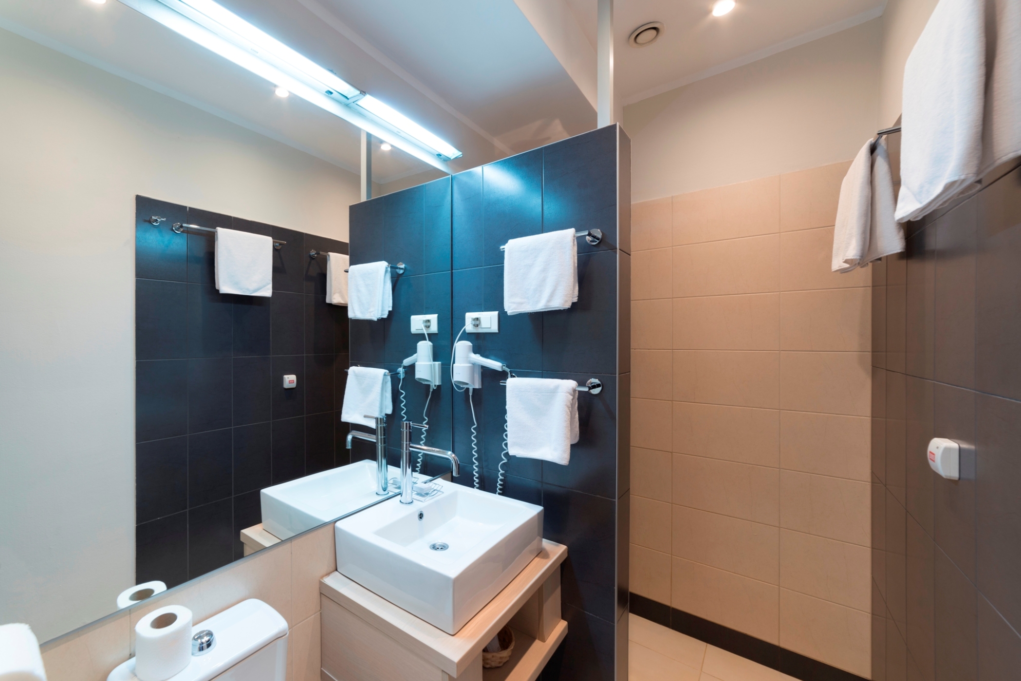 Double or Twin Standard