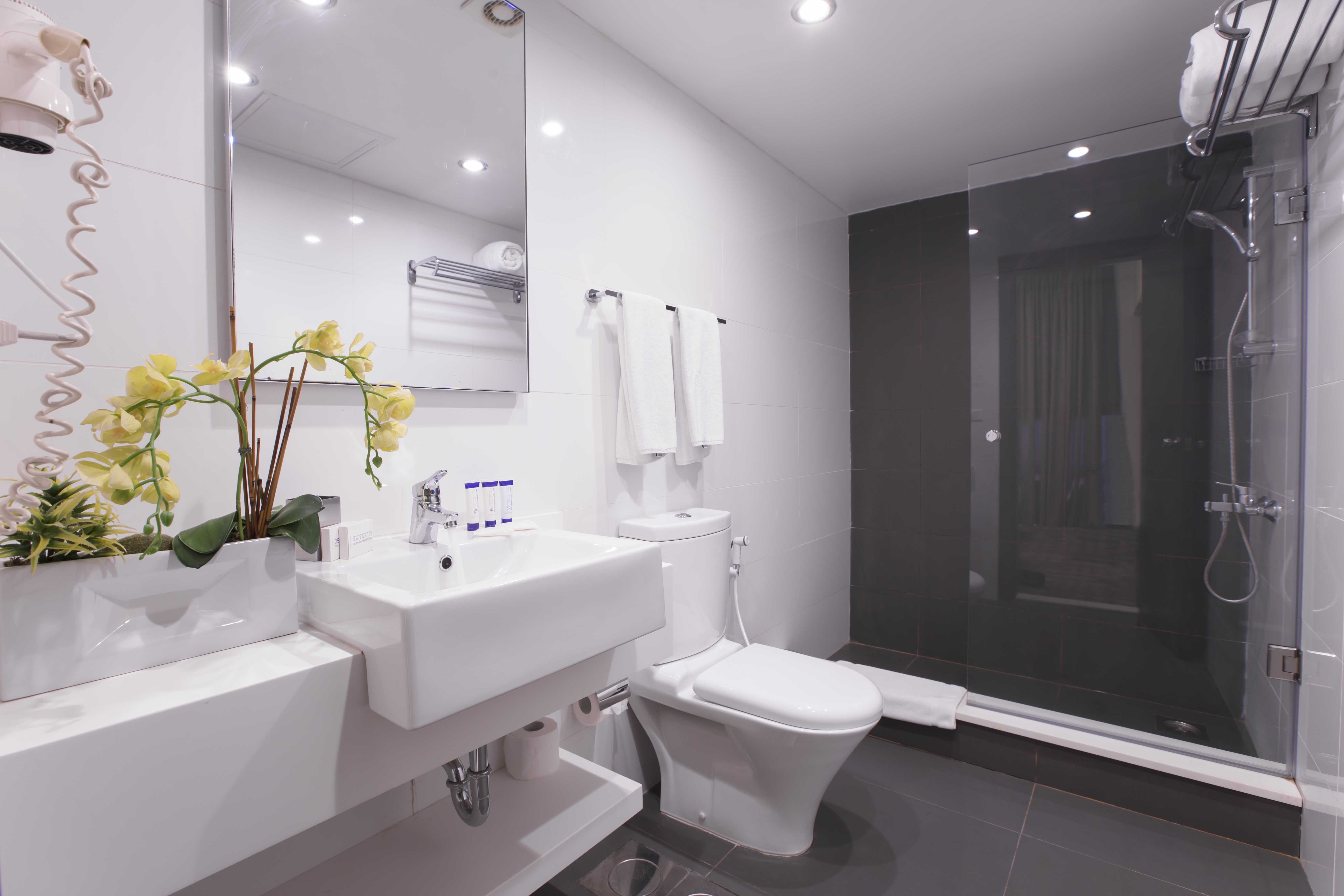 Junior Suite Classic One Bedroom