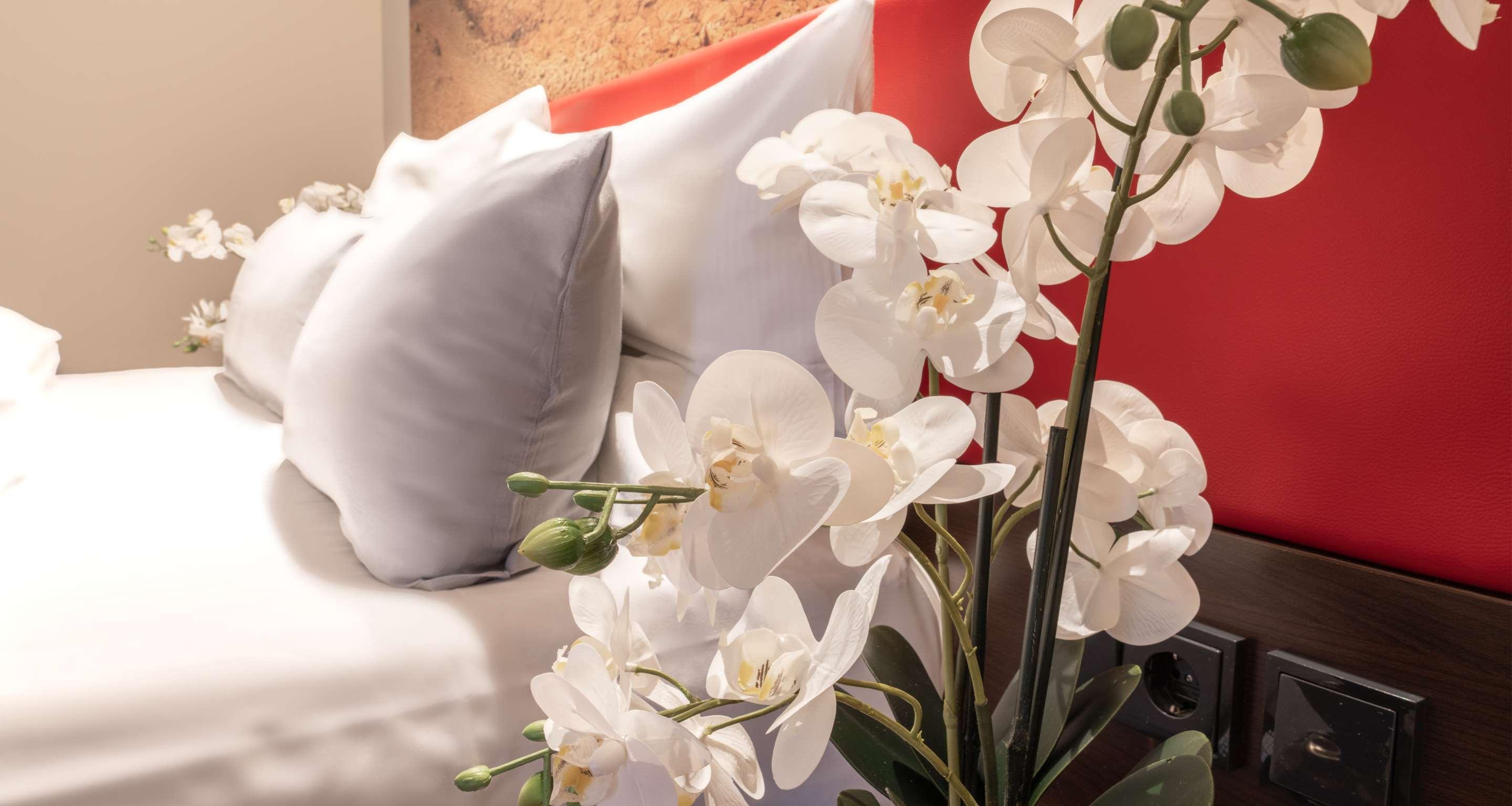 Suite Queen Size Bed