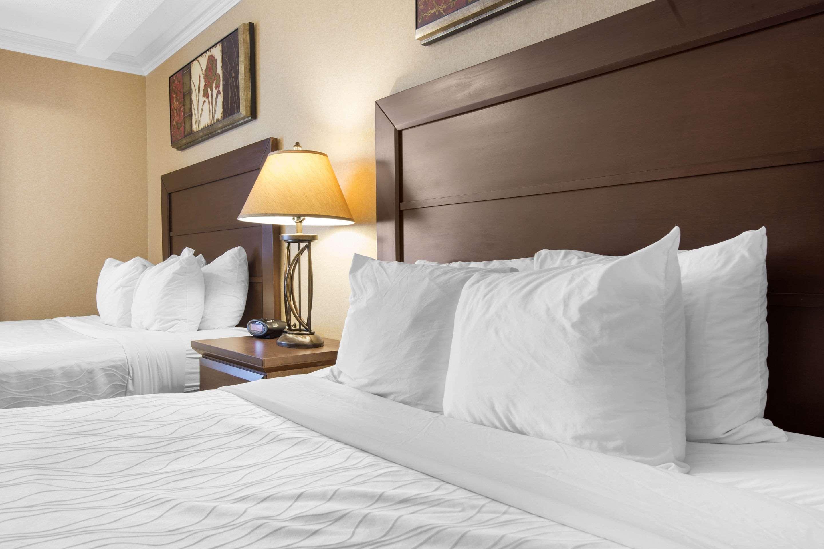 Quadruple Two Queen Beds Non Smoking