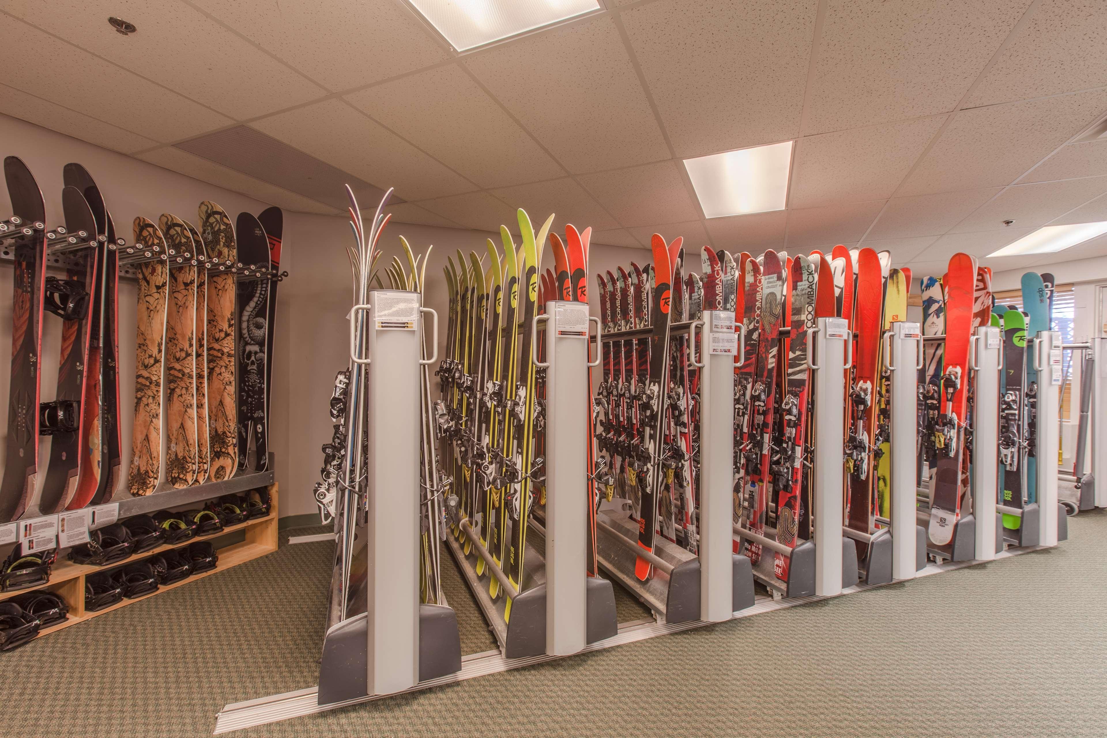 Sports and Entertainment