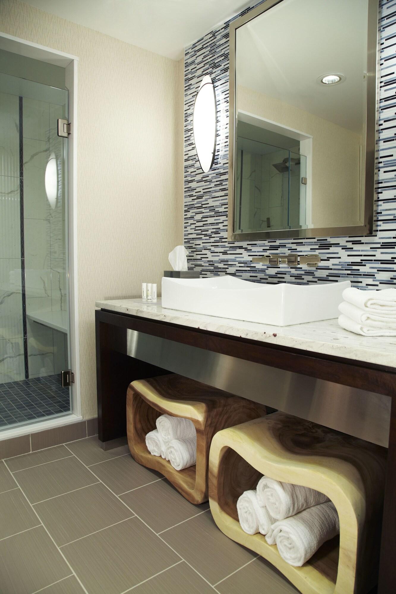 Suite King Bed One Bedroom 