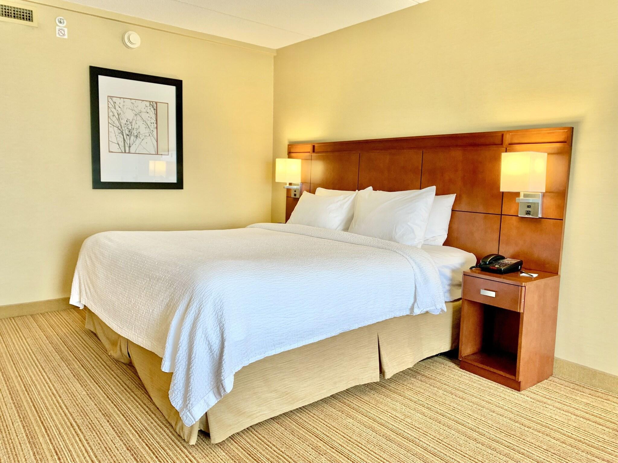 Suite King Bed One Bedroom 