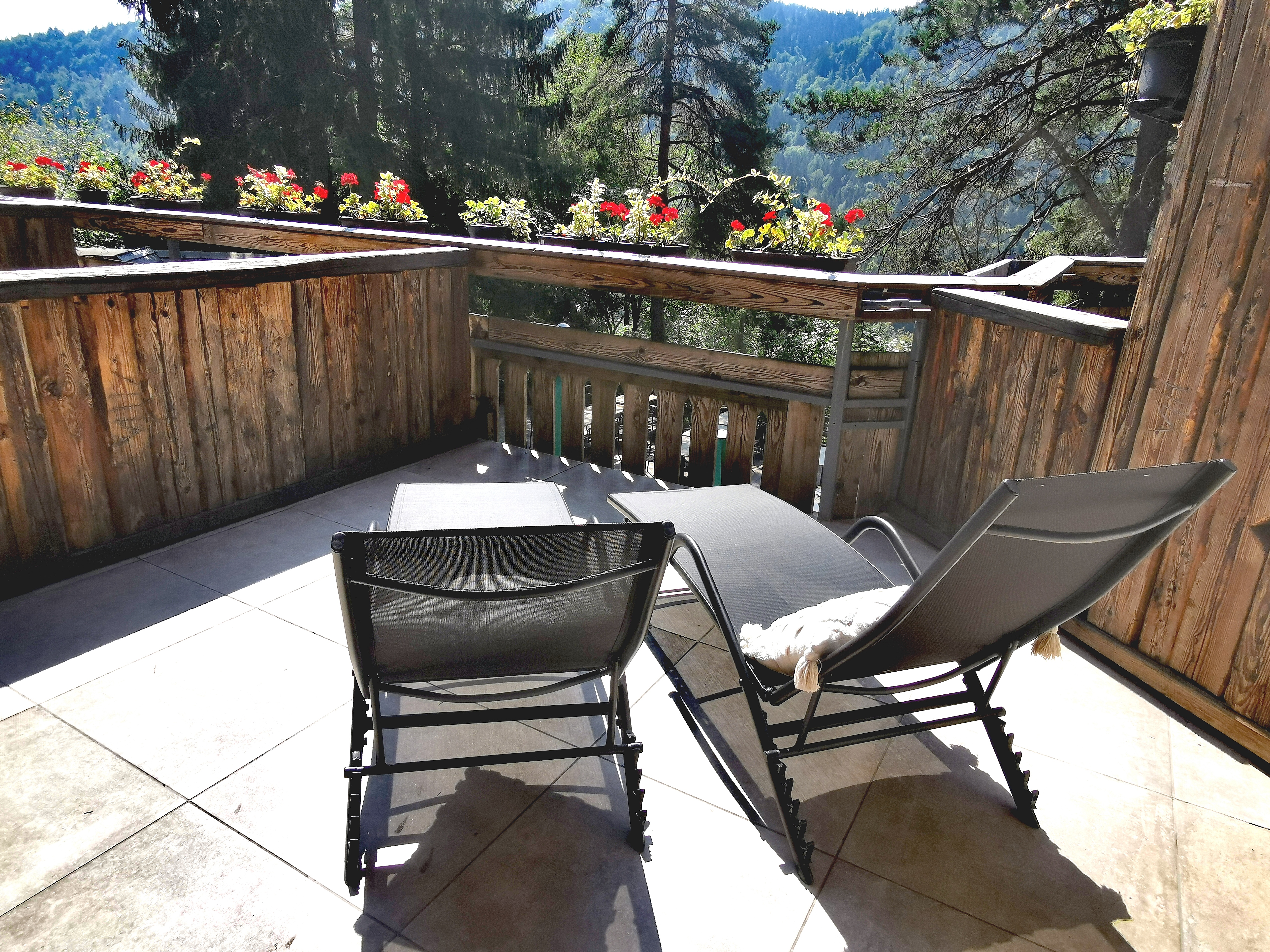 Double or Twin with Terrace