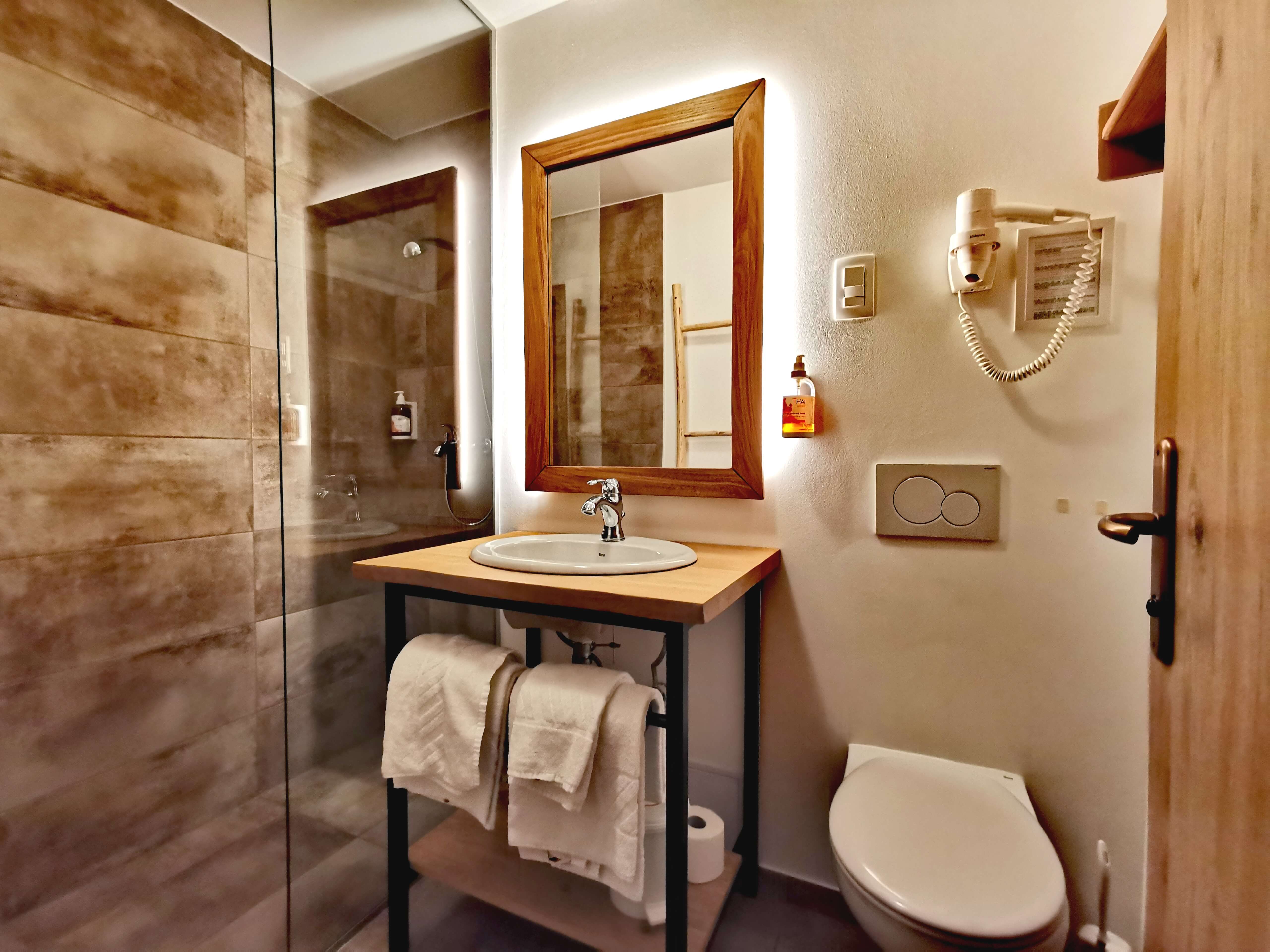 Double or Twin with Terrace